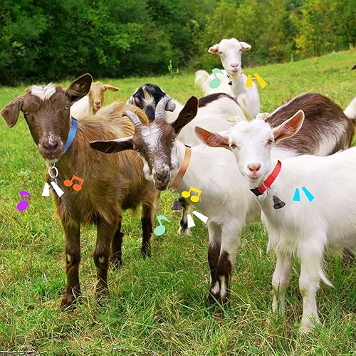 Miniatura 7 de 12 juegos de collares de cabra con campanas, caballo, oveja, pastoreo, campanas de vaca, collar ajustable de nailon para perro con hebilla de