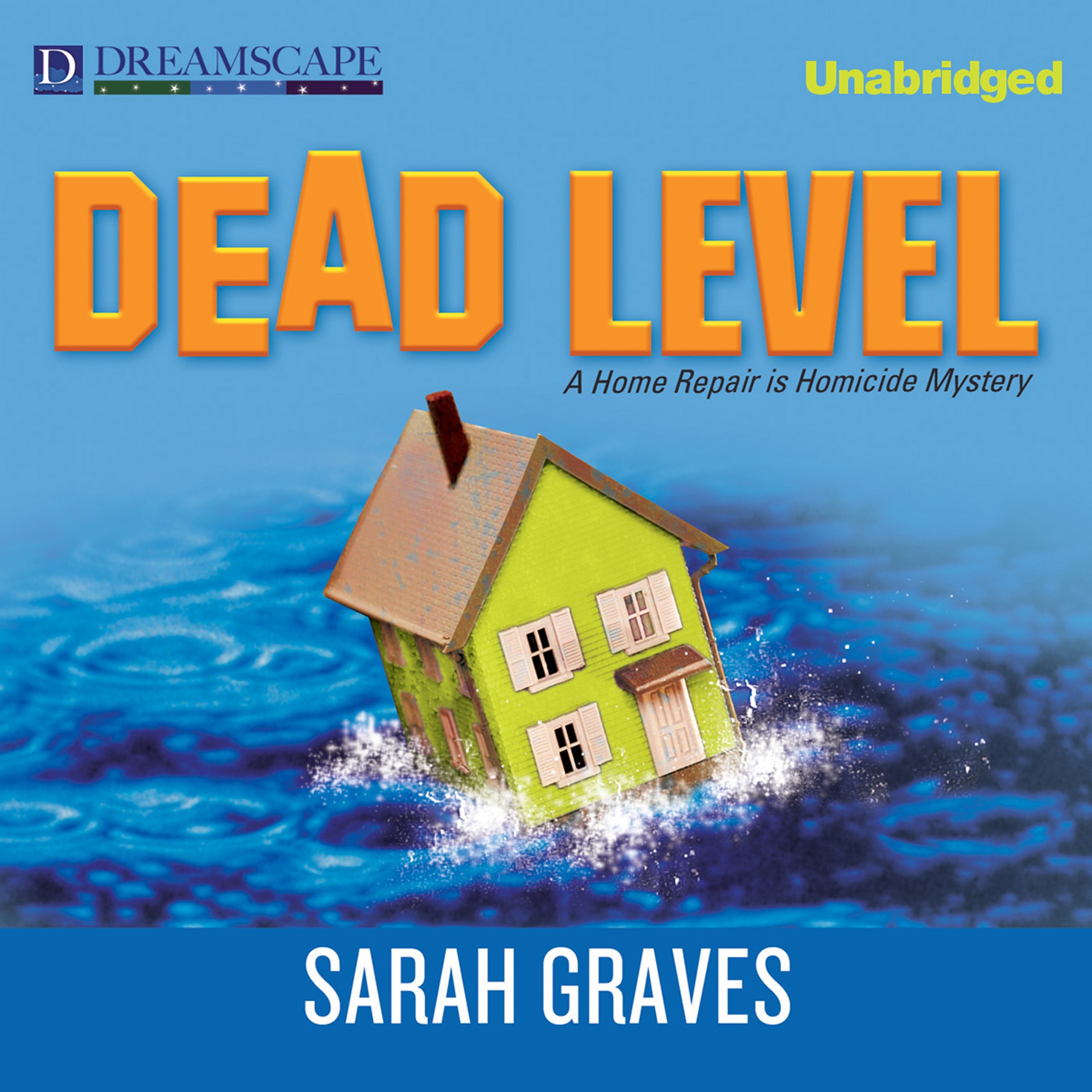 Cover art for Dead Level: A Home Repair Is Homicide Mystery, Book 15