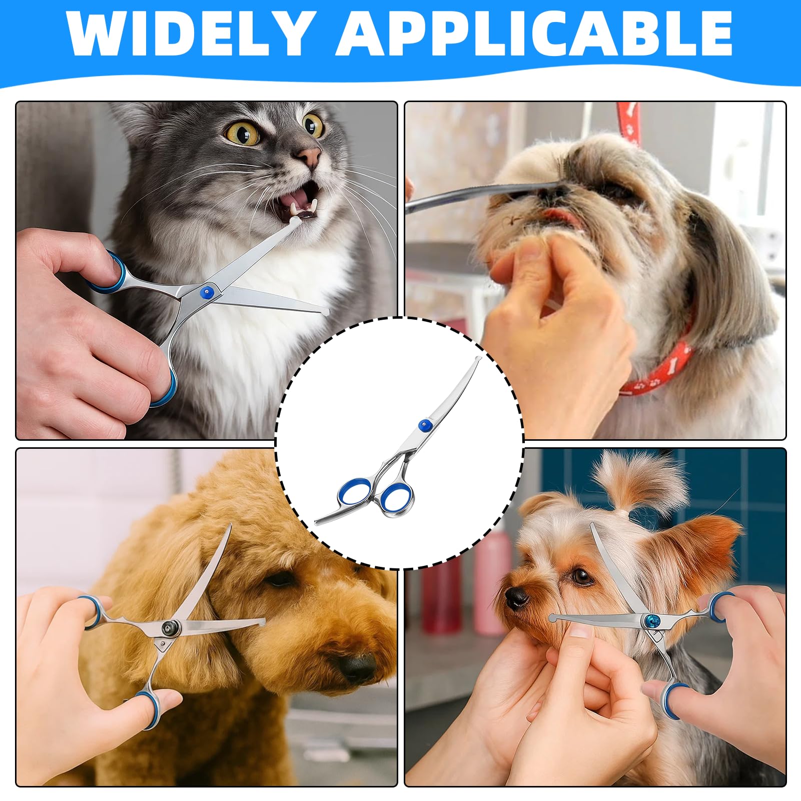 Ciseaux de Toilettage Chien Courbés Professionnels | Idéal pour Finitions Précises Visage et Pattes | Sécurité Maximale avec Pointes Arrondies | Acier Inoxydable 17cm