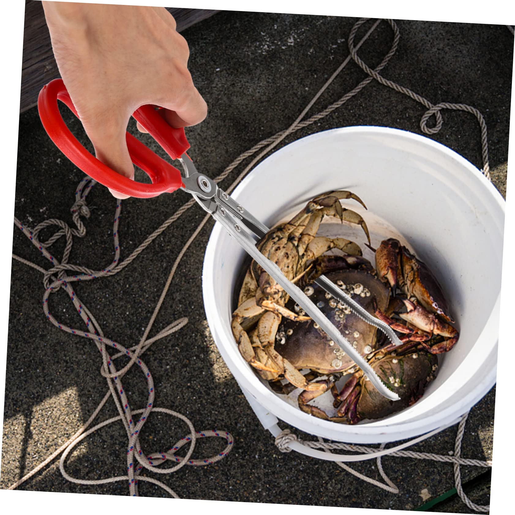 COLLBATH Pince à Anguilles Outil Multifonction en Acier Inoxydable Antidérapante et Résistante à L'usure pour Attraper Crabes et Poissons Domestique la Maison