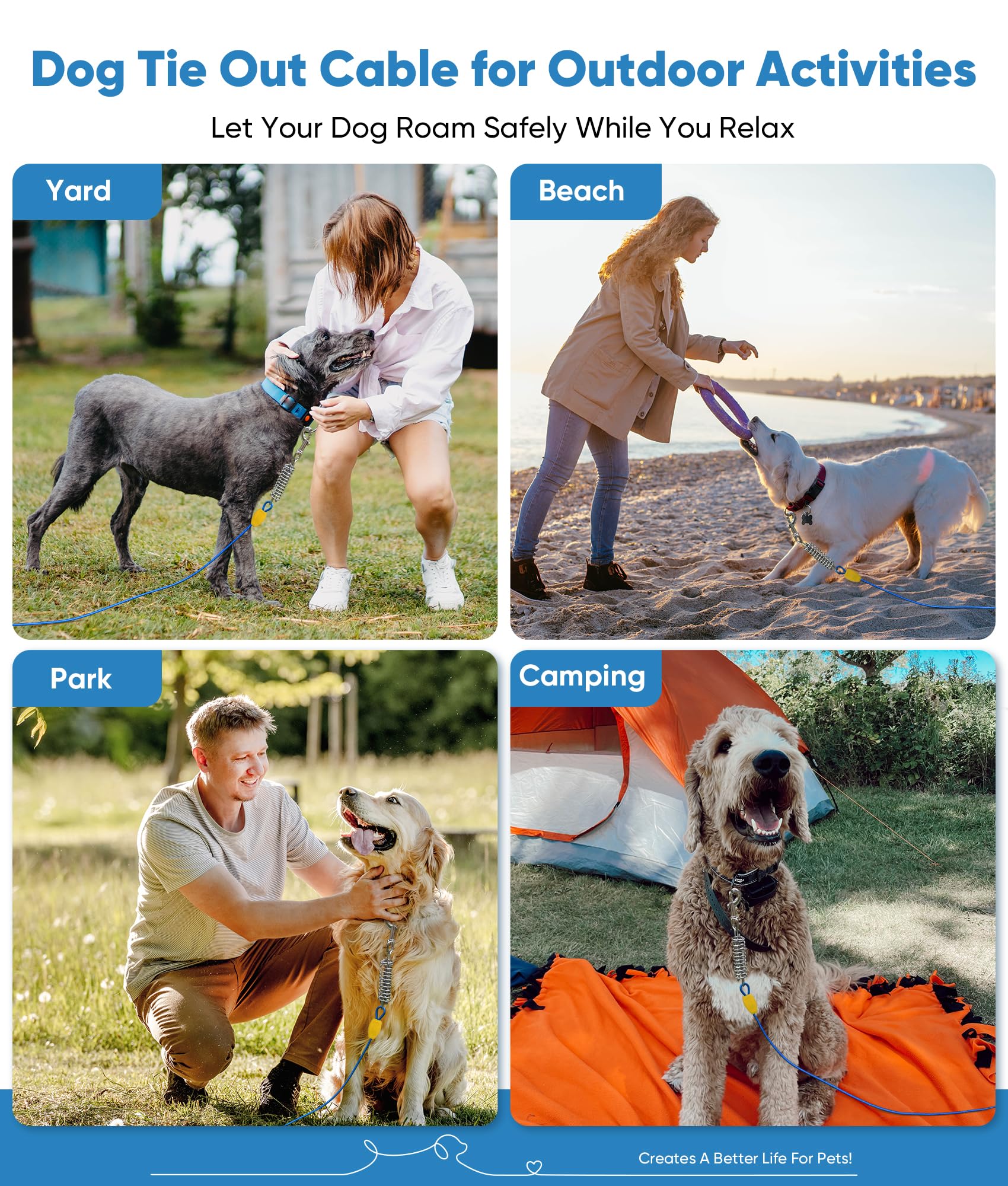 Petbobi Câble d'arrimage pour chien 10 m