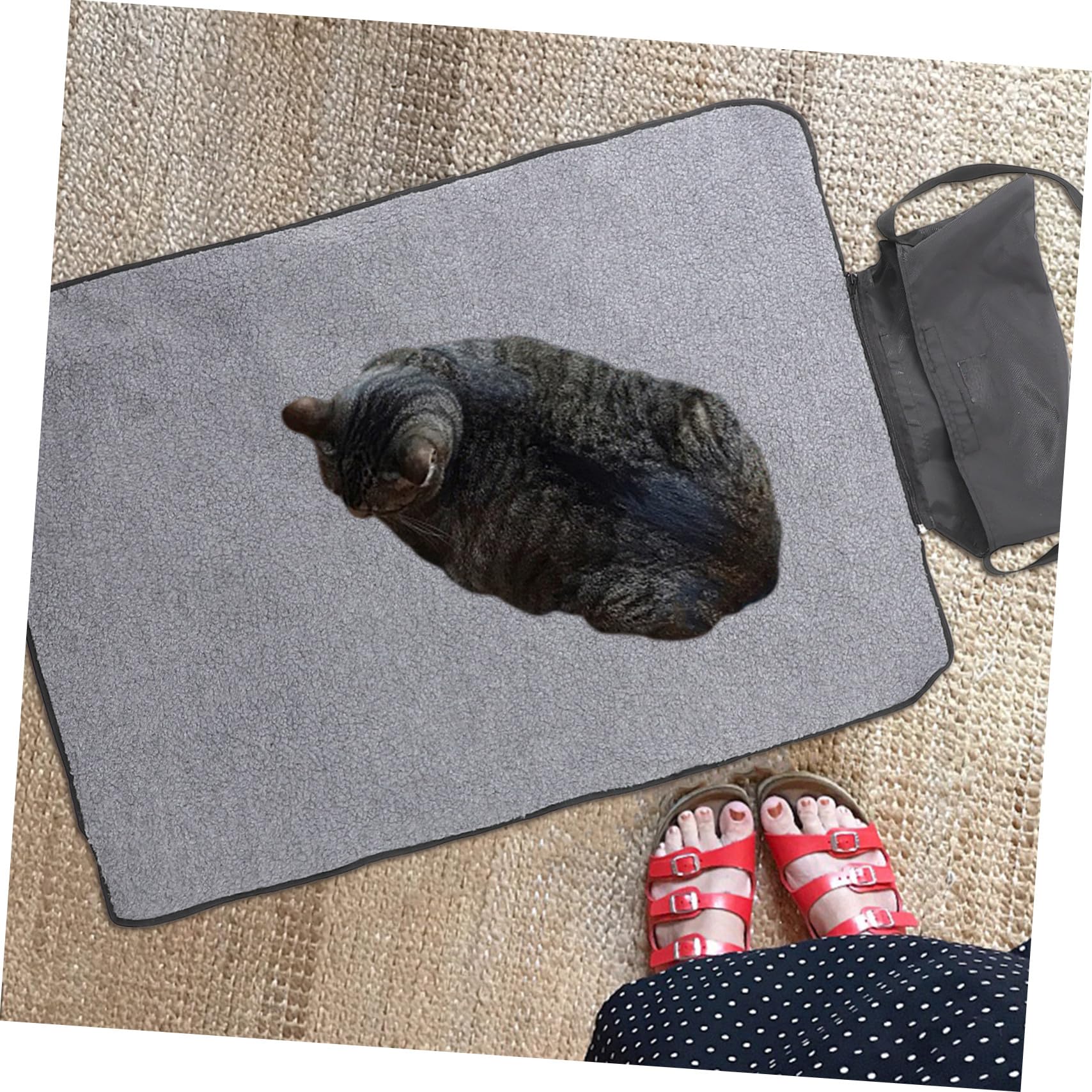 Toyvian Manta Plegable para Mascotas y Térmica, Tela Oxford y Lana de Cordero, Tamaño Portátil, para Exteriores y Viajes, Adecuado para Perros y Gatos
