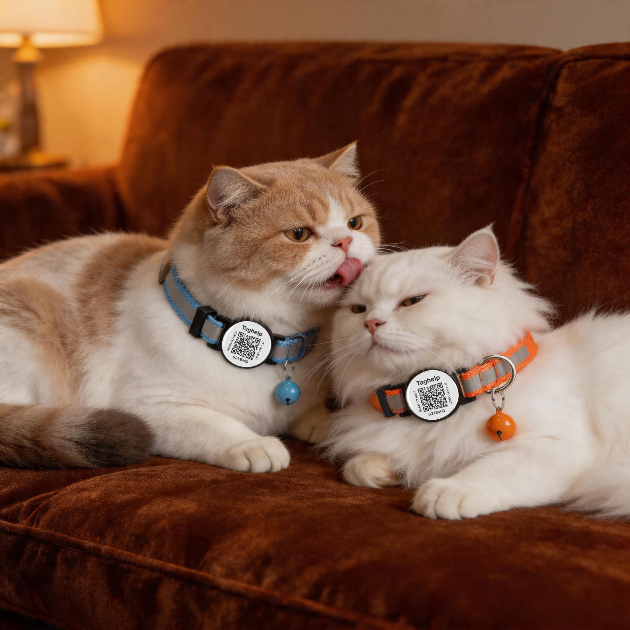 Paquete de 6 collares de gato con campana, bonito collar de gato, ideal para niñas, gatos, niños, gatos, collares reflectantes sólidos y seguros para gatos, etiquetas de identificación de gato con