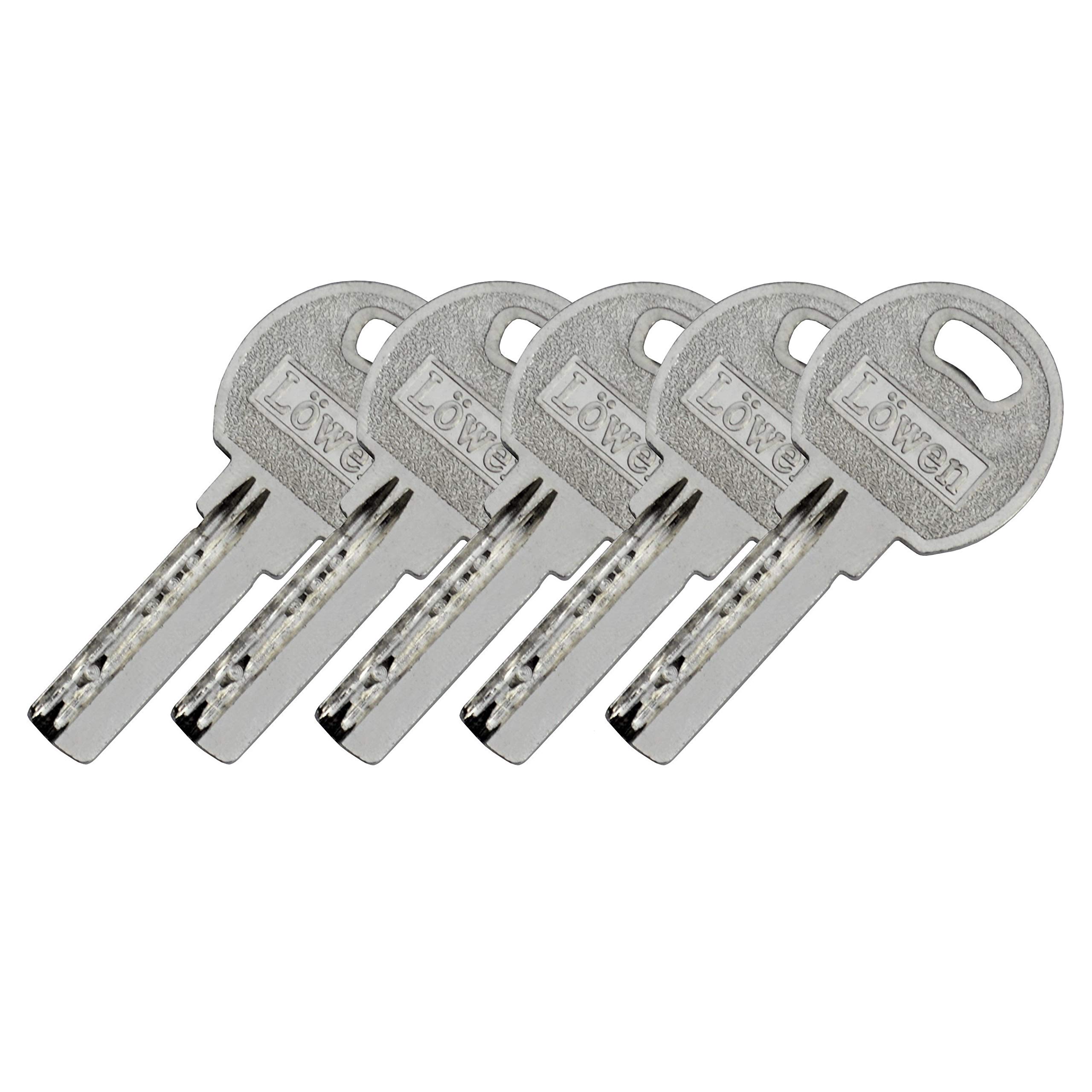 60 mm 4 x serrures à cylindre double 30/30 de serrure massif avec 20 clés réversibles A : 40 B Lot (60 30/30, profilé fermeture simultanée), (Zylinderschloss)