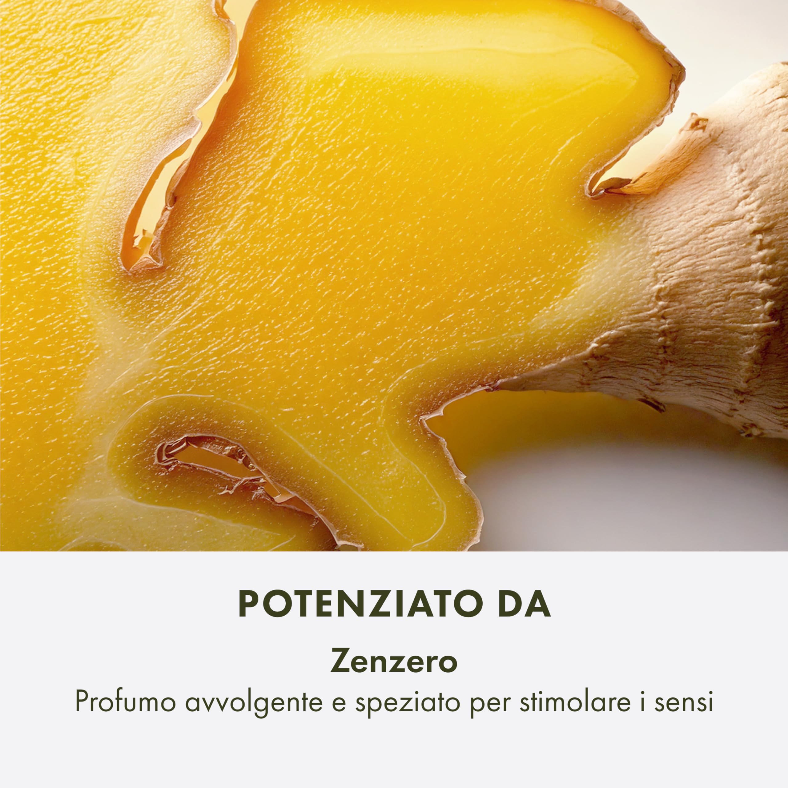 Origins Ginger Essence Perfume 100 ml | Profumo agrumato - Profumo floreale con note di Bergamotto, Limone e Lime