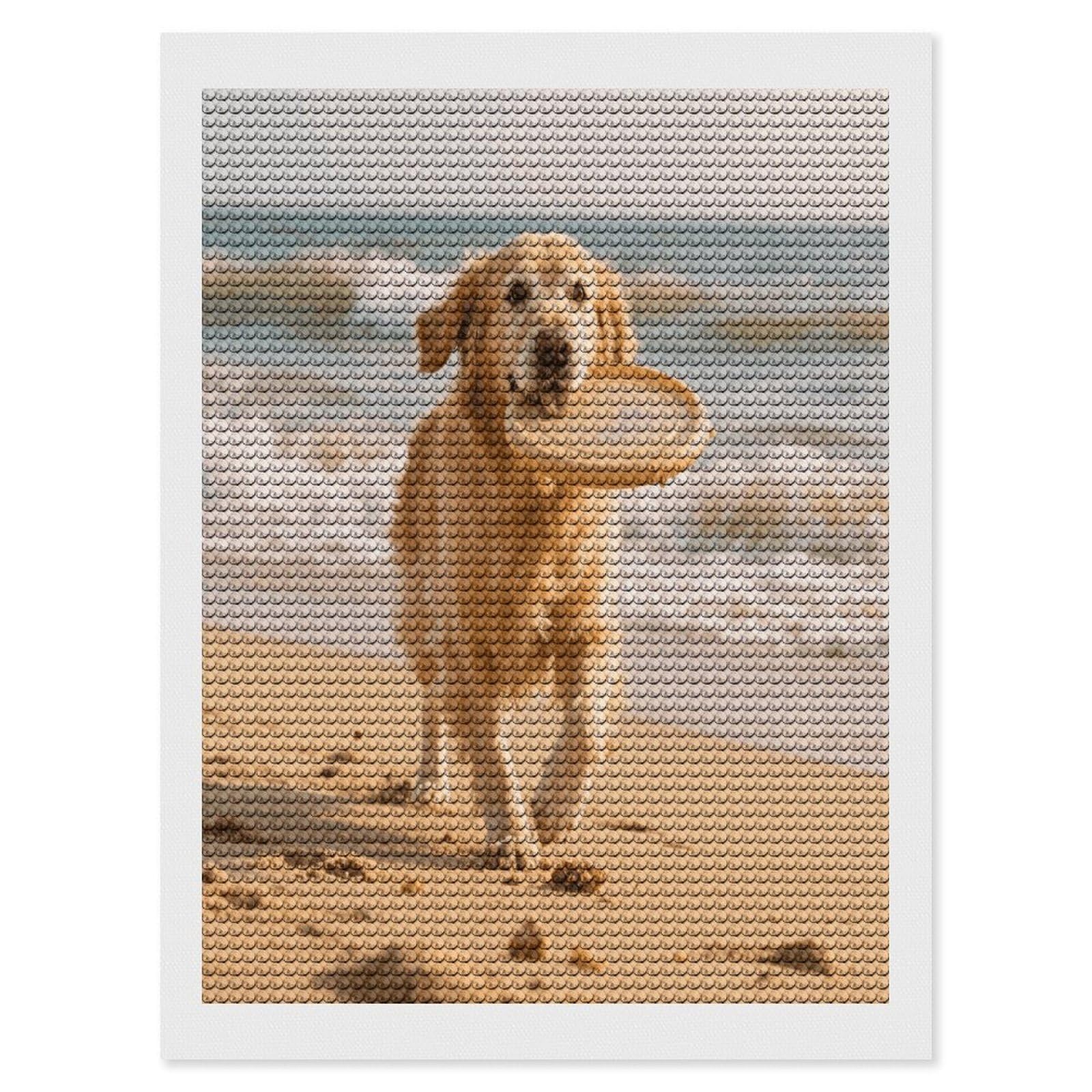 VstaDank Golden Retriever Dog Diamond Painting Kits Exquisite DIY Full Round Drill Diamond Dots Painting for Adults Beginner Diamond Photo Paint with Diamond Picture Art Wall Decor 12"x16"