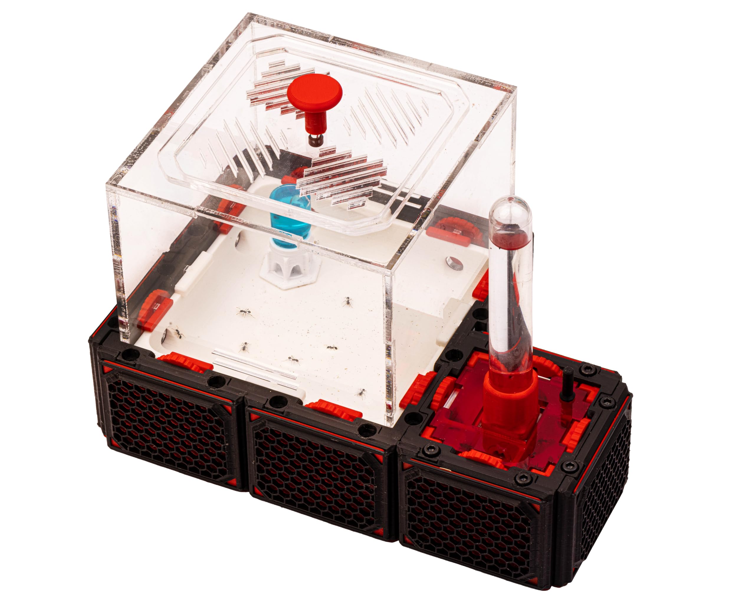 Anthouse Qbik Quadra Starter Kit, Hormiguero Modular para Hormigas con Galerías Medianas y Caja de Forrajeo Quadra, Kit Avanzado