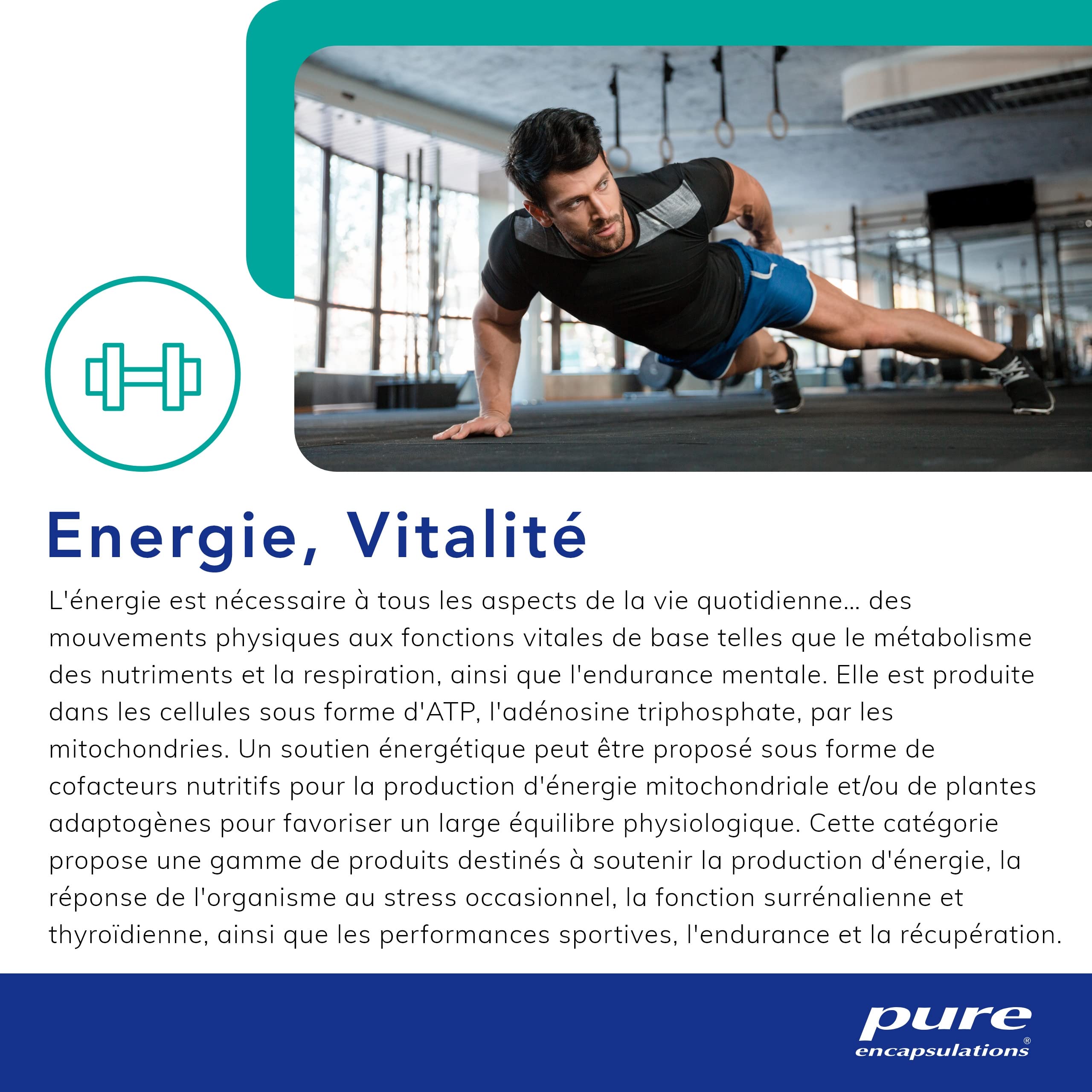 Pure Encapsulations - Glycinate de Magnésium 120mg - Magnésium Chélaté Biodisponible - Complément Anti-Fatigue - 90 Gélules Véganes