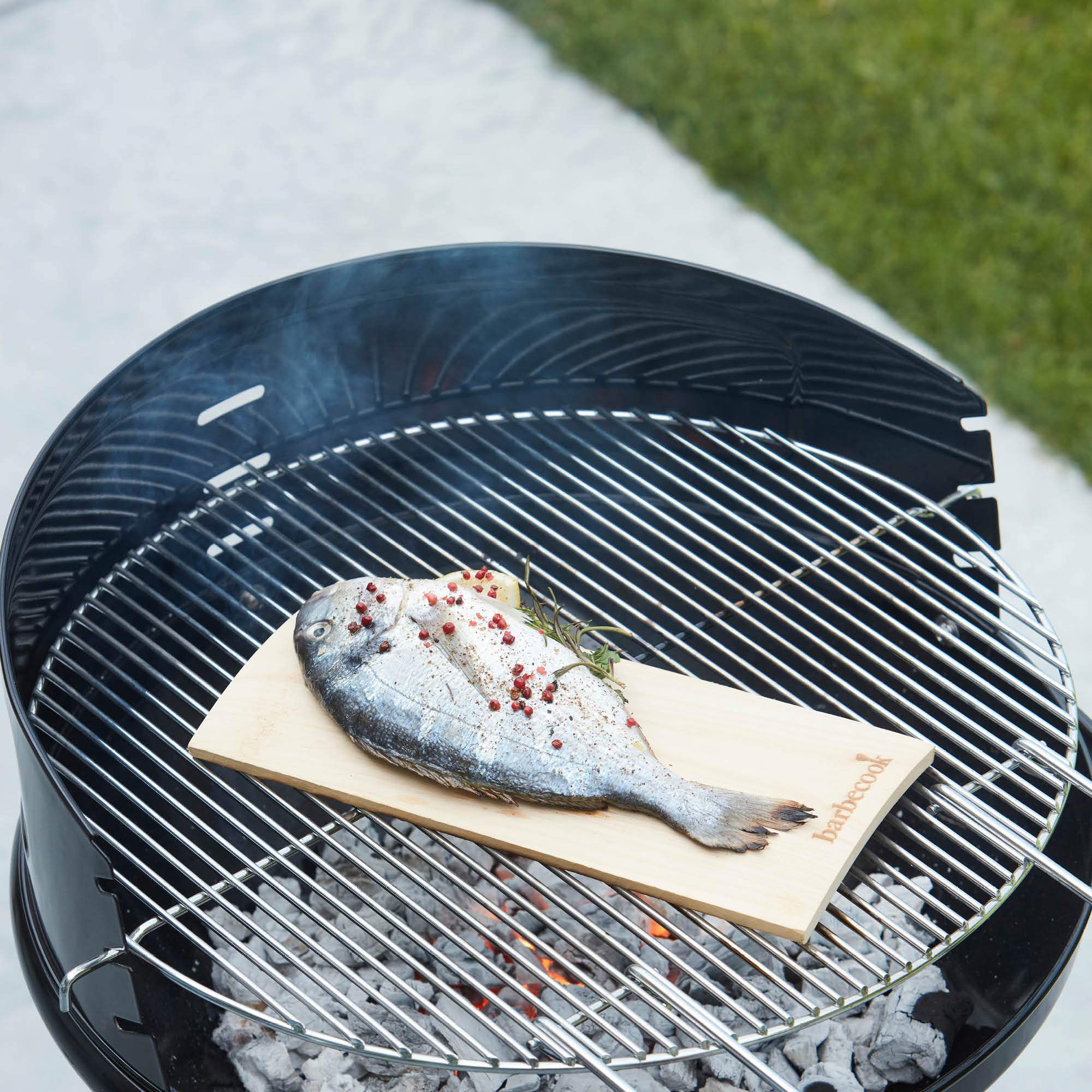Barbecook Planche de Fumage Aulne