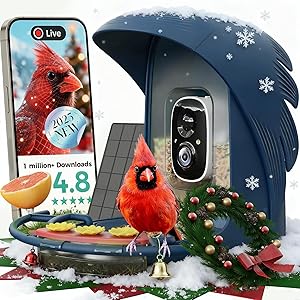 PerchMe Smart Bird Feeder with Camera, Solar Powered Bird Watching Camera for Outside, 2K HD Auto Capture Motion Detection with AI Identify, DIY Add-ons & Seed Scoop, A Ideal Gift