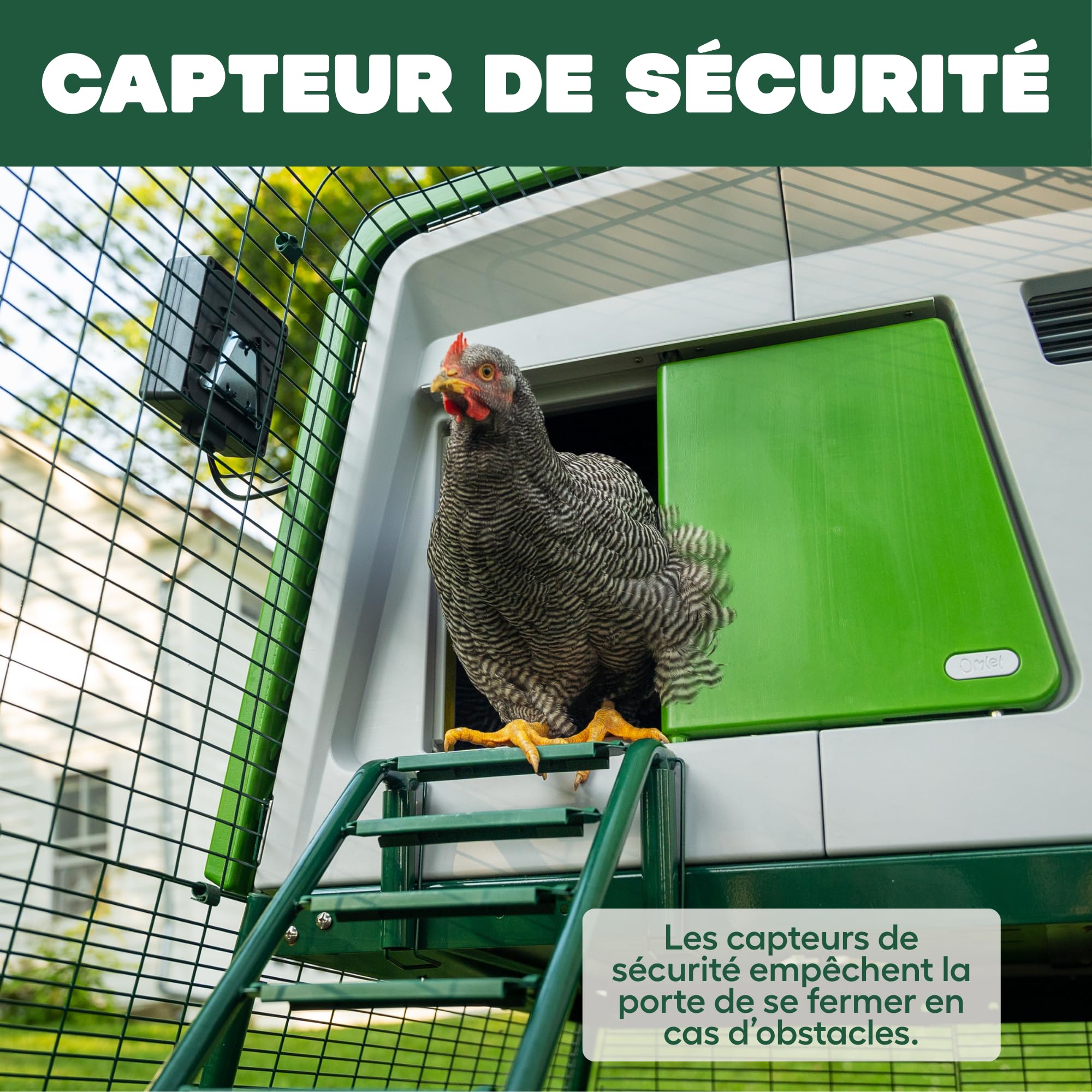 Omlet Porte de Poulailler Automatique | Ouverture et Fermeture par Capteur de Lumière ou Minuterie | Facile à Installer et sans Entretien | Sécurité Renforcée et Meilleure Isolation | Vert