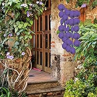 Vista 51 de GLEAVI Cowrie Shells 100pcs Round Shells Pieces Round Natural Capiz with 2 Hole, Polished Slice Accessory Capiz Pearl Coin Beads Charms for Jewelry