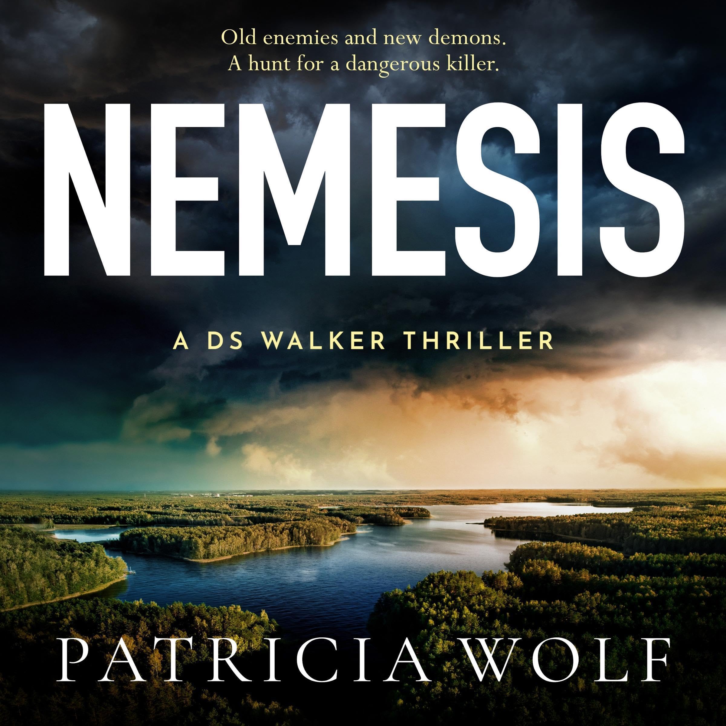 Cover art for Nemesis