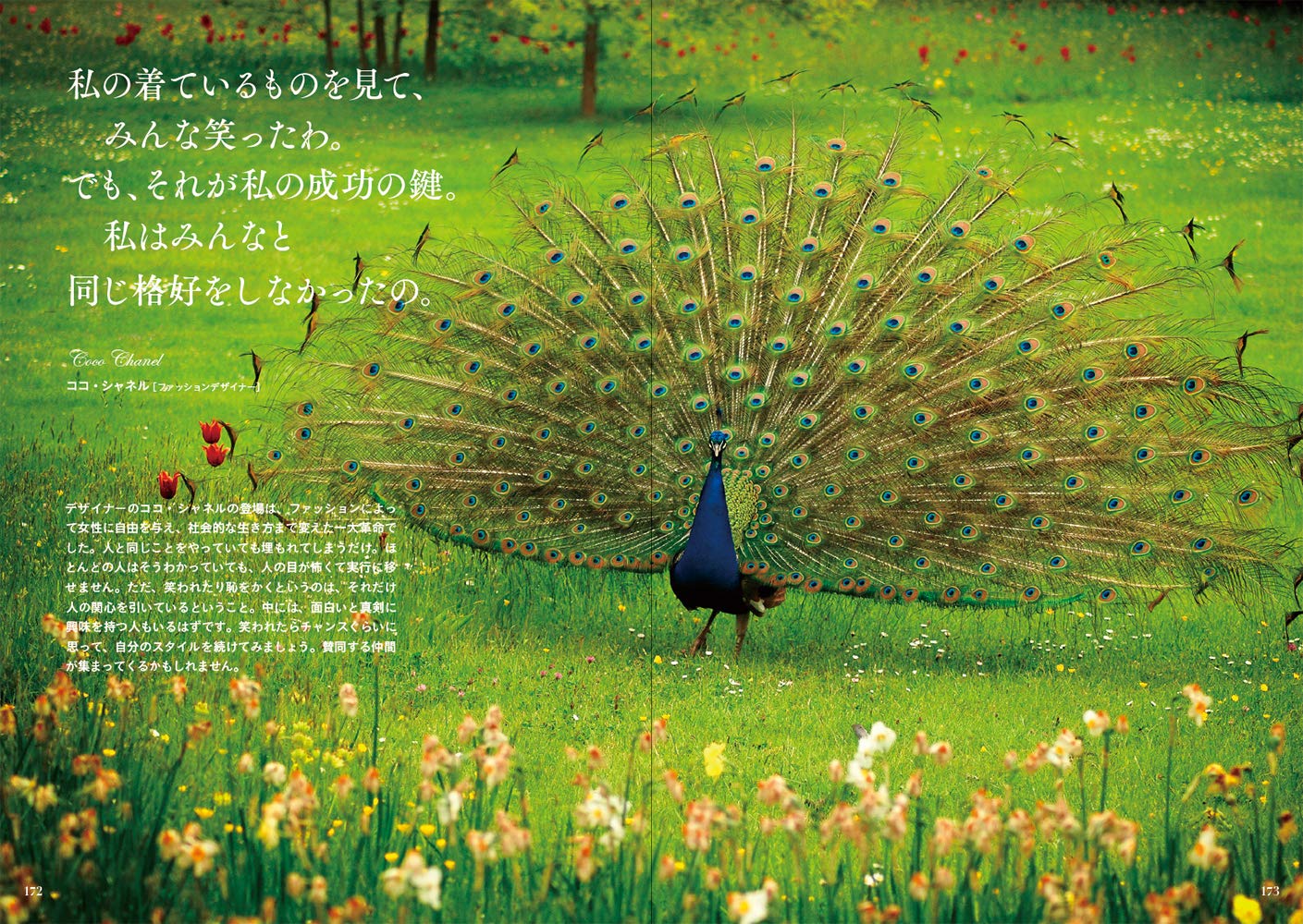 心を笑顔にする 癒しの動物と幸せを呼ぶことば パイ インターナショナル 配送料無料