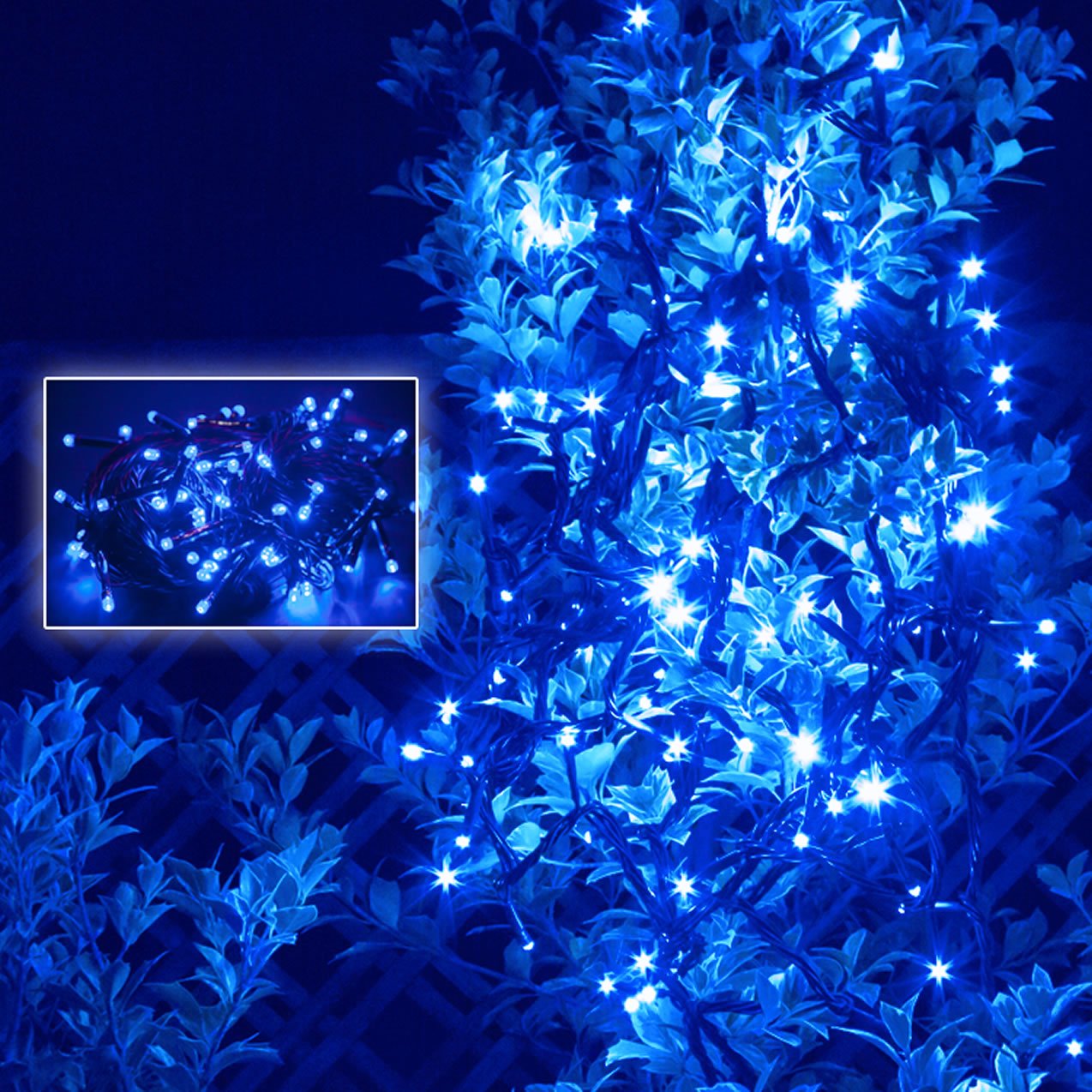 Amazon.co.jp: QUALISS イルミネーション LED ストレート ライト 100球 