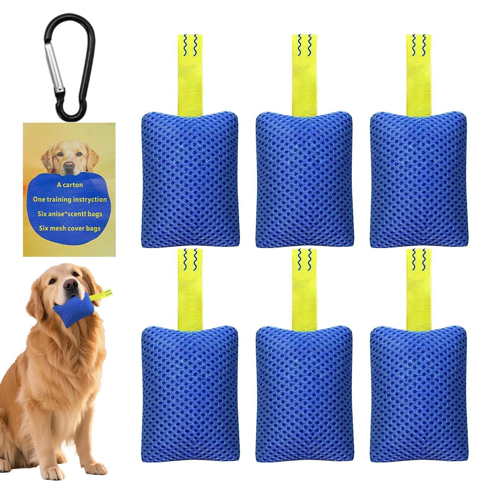 Kit d'entraînement d'agilité chien et tapis à renifler interactif pour maison toutes tailles