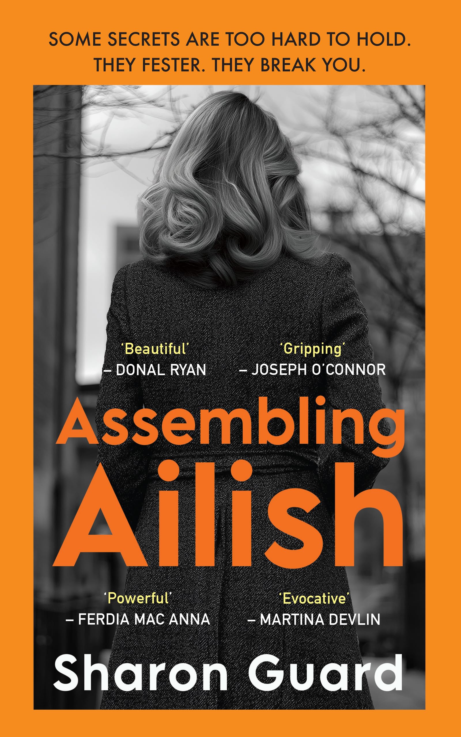 Assembling Ailish - Some secrets are too hard to hold. They fester. They Break you.