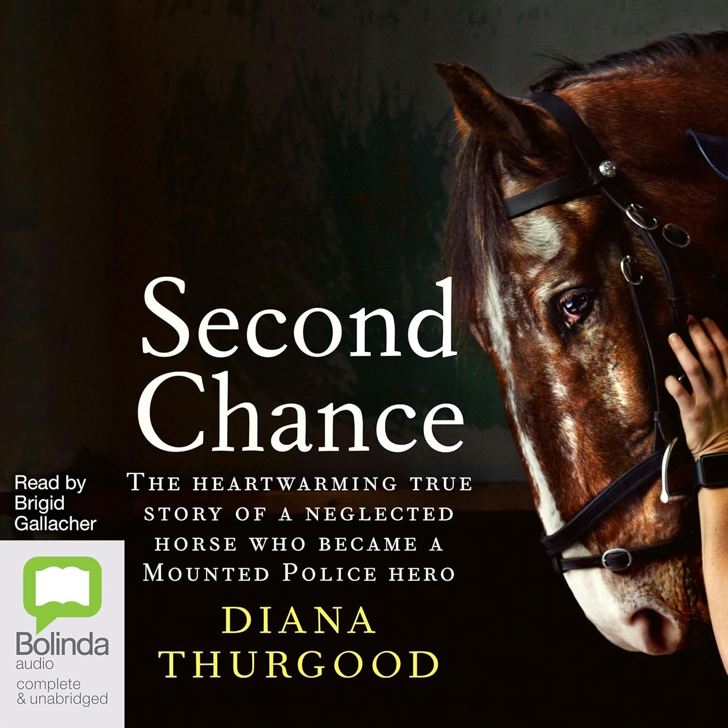 Second Chance    
	                
	            

                 
                        Audible Audiobook 
                  
                        – Unabridged