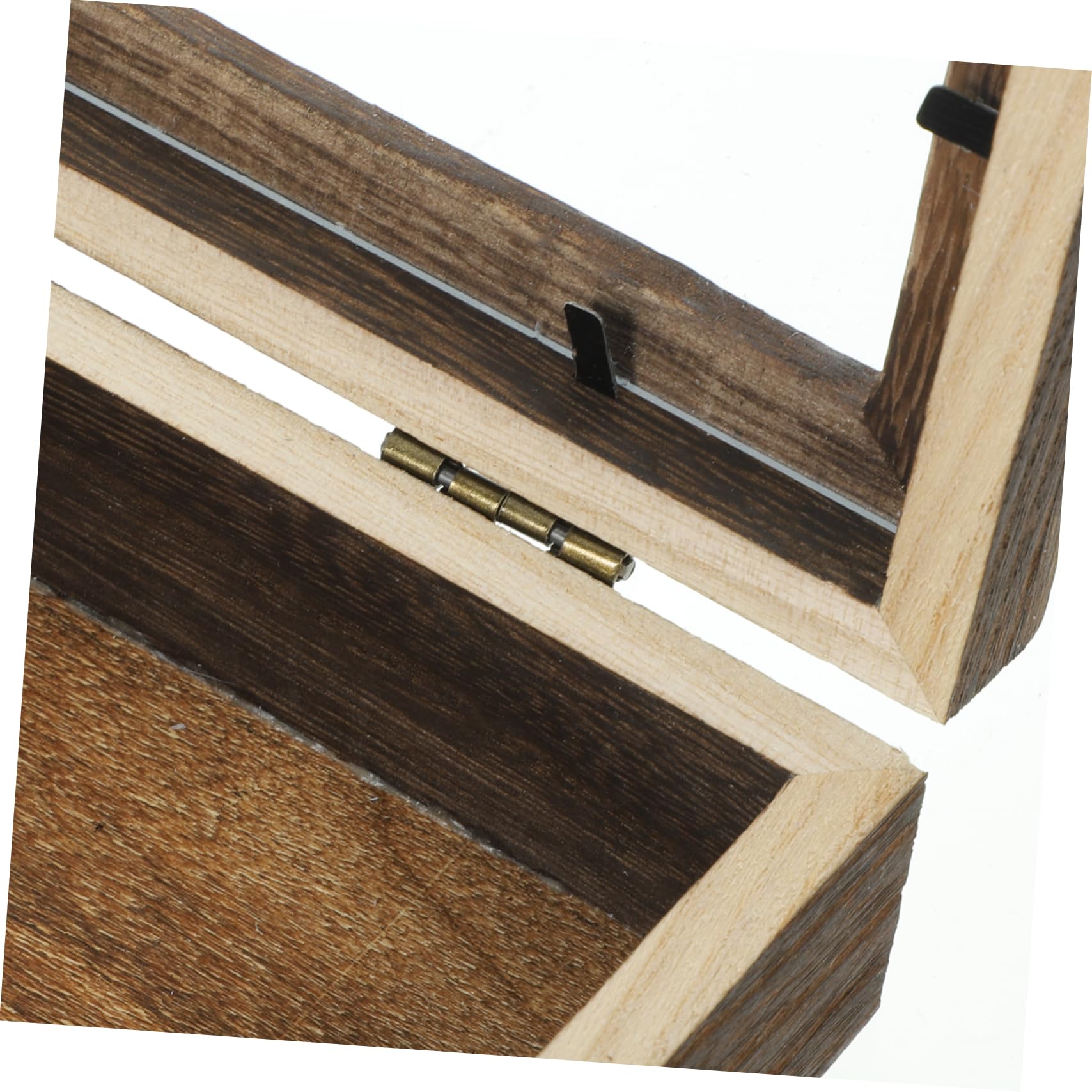 Zerodeko Caja de Exhibición para Insectos Diseño Retro, Gran Capacidad y Estructura Ligera de Acrílico y Madera Adecuado para Colgar Pared Estilo