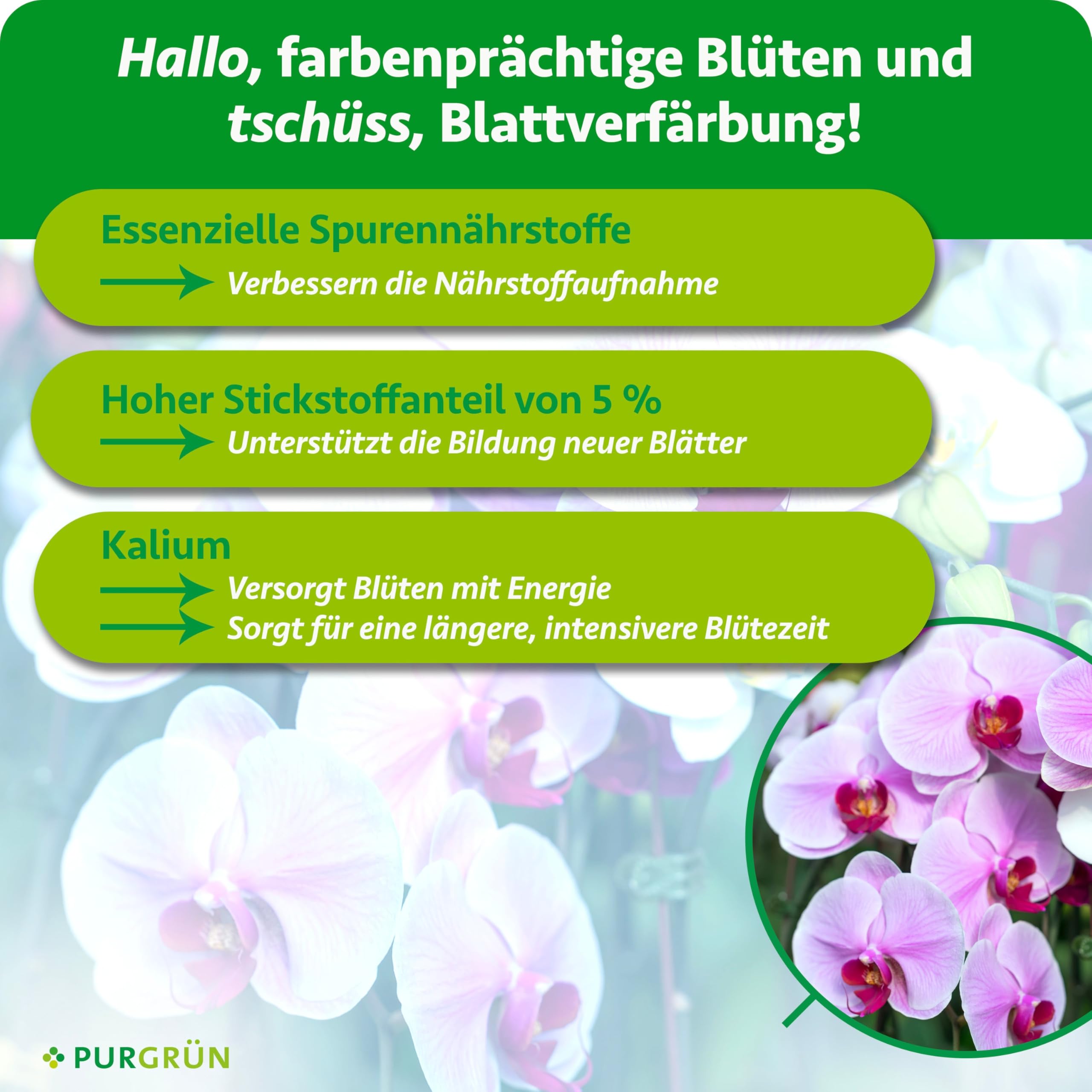 Phalaenopsis-Dünger 1 Liter – Leuchtende Blüten & glänzende Blätter – Schnelle Wirkung mit Spurennährstoffen – Erhöhte Widerstandskraft durch Kalium – Für ca. 400 Liter Gießwasser