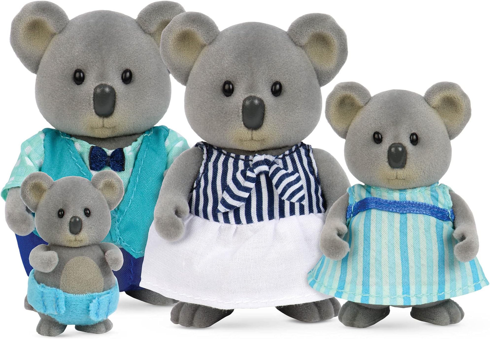 Canberra Koala Family