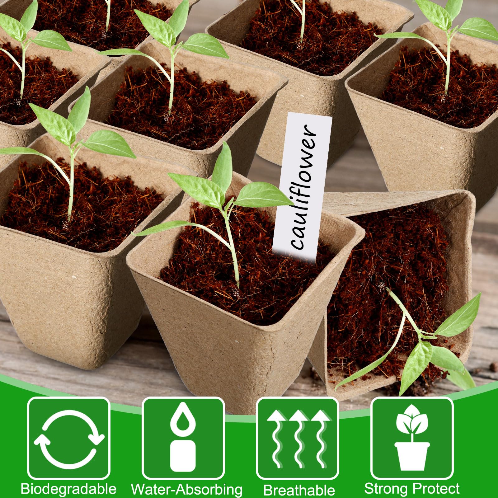 Layhit Lot de 1 000 pots de tourbe de 7,9 cm, kit de démarrage de semis, pots de semis avec 1 000 étiquettes pour plantes, 10 outils de transplantation (carrés)