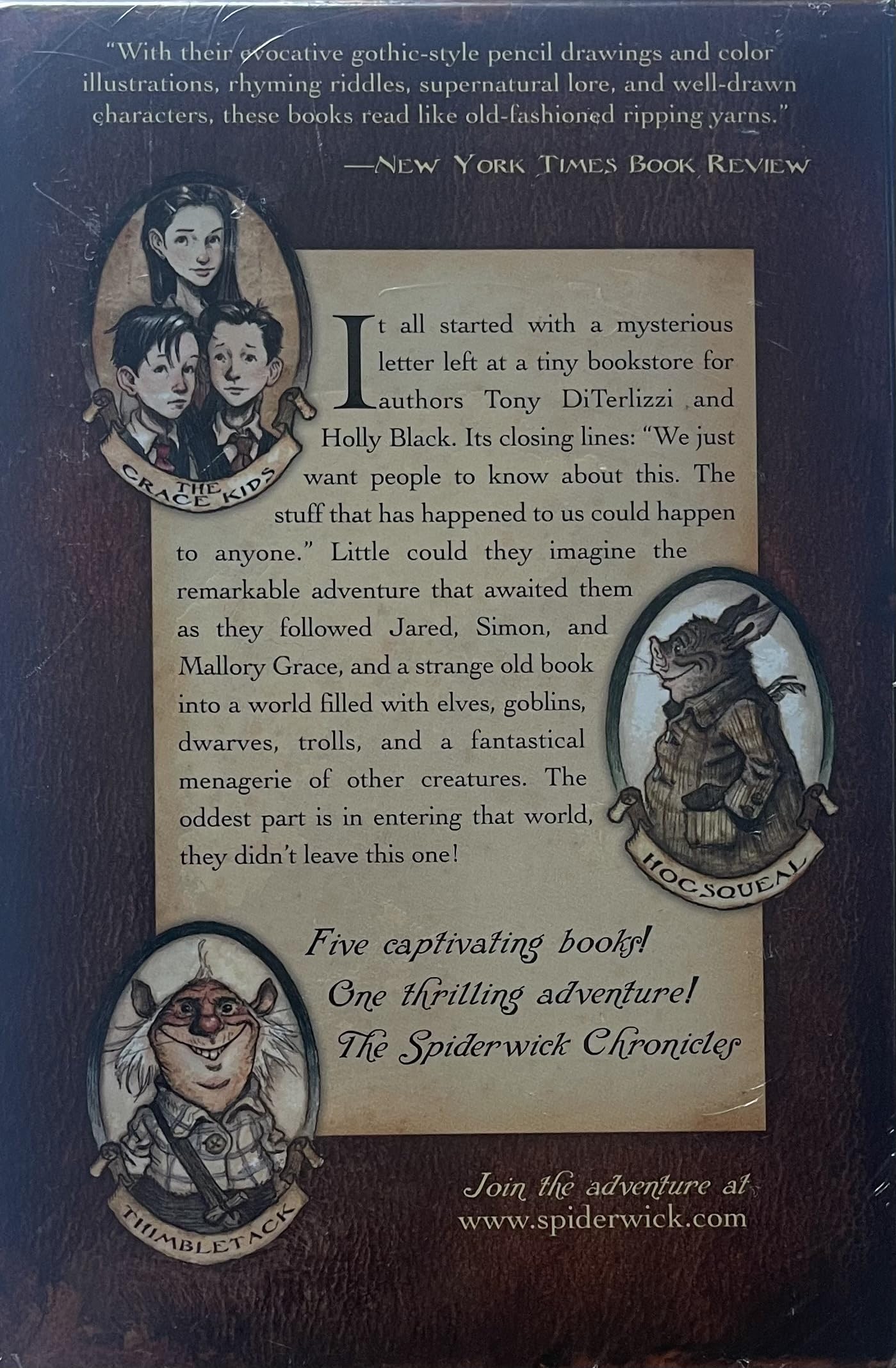 The Spiderwick Chronicles (Boxed Set): The Field Guide; The Seeing Stone; Lucinda's Secret; The Ironwood Tree; The Wrath of Mulgrath