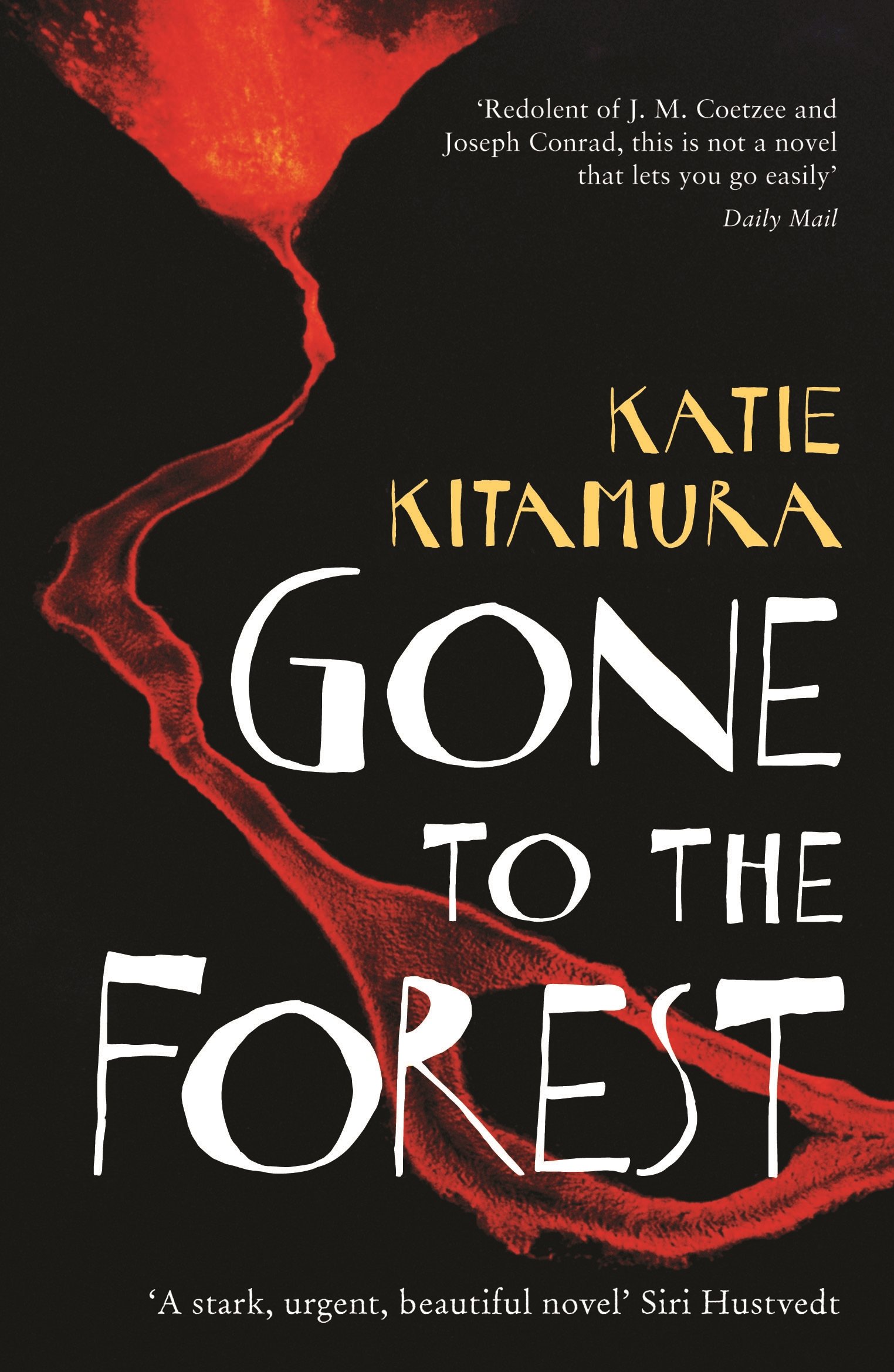 Gone to the Forest: From the Booker-shortlisted author of Audition