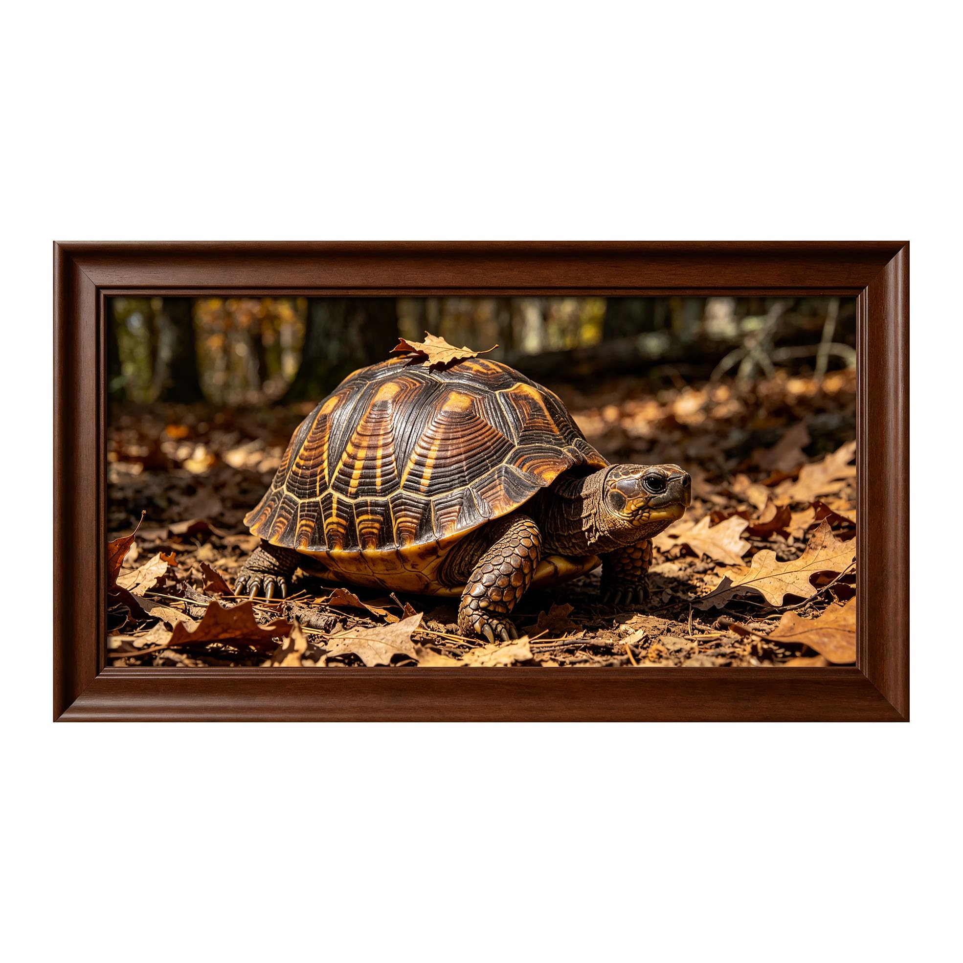 Yzpallescene 3D Framed Wall Art 50cm×100cm Autumn Tortoise Forest Landscape Realistic Wildlife Large Size SelfAdhesive Removable Wall Decor Prints Artwork for Living Room Bedroom Office