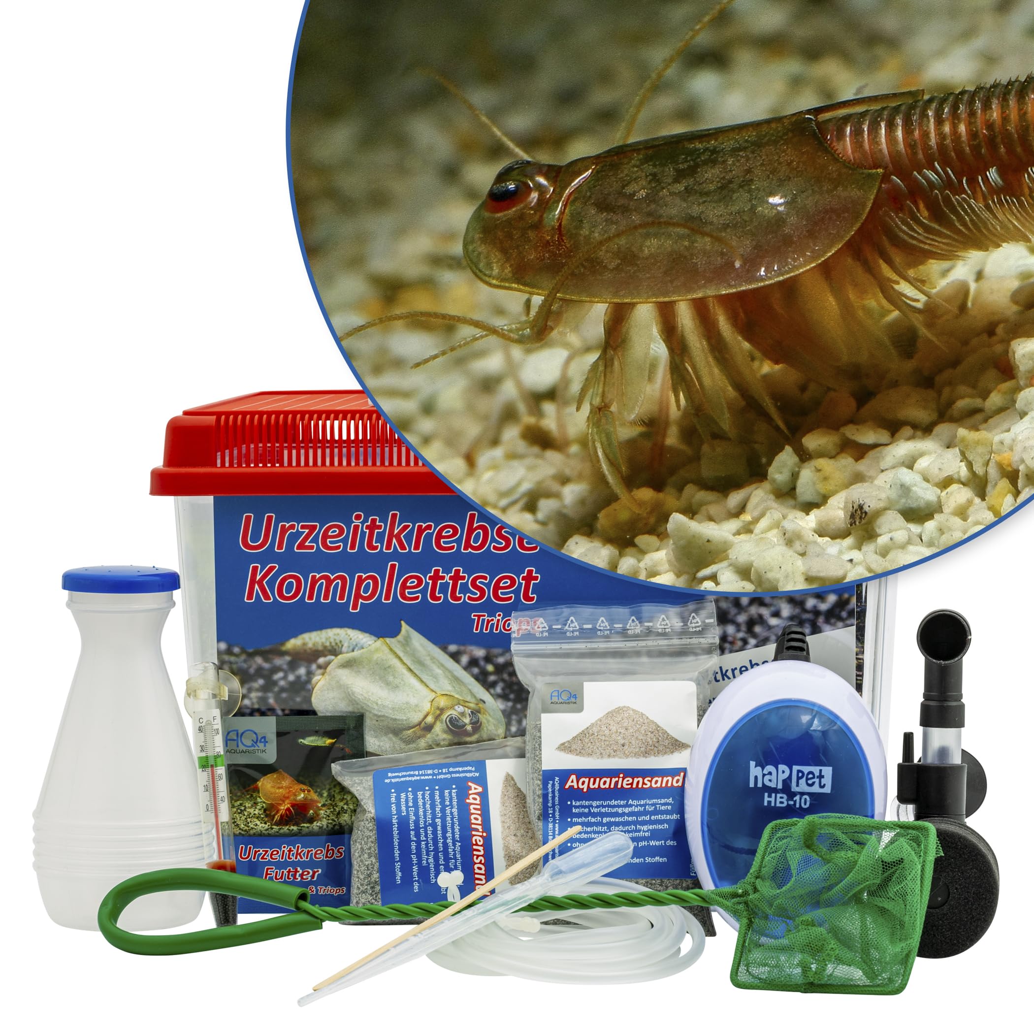 Triops Granarius Komplettset: 6 l Aquarium, ca. 200 Urzeitkrebse Eier, Filterset, Zubehör, Futter und Anleitung