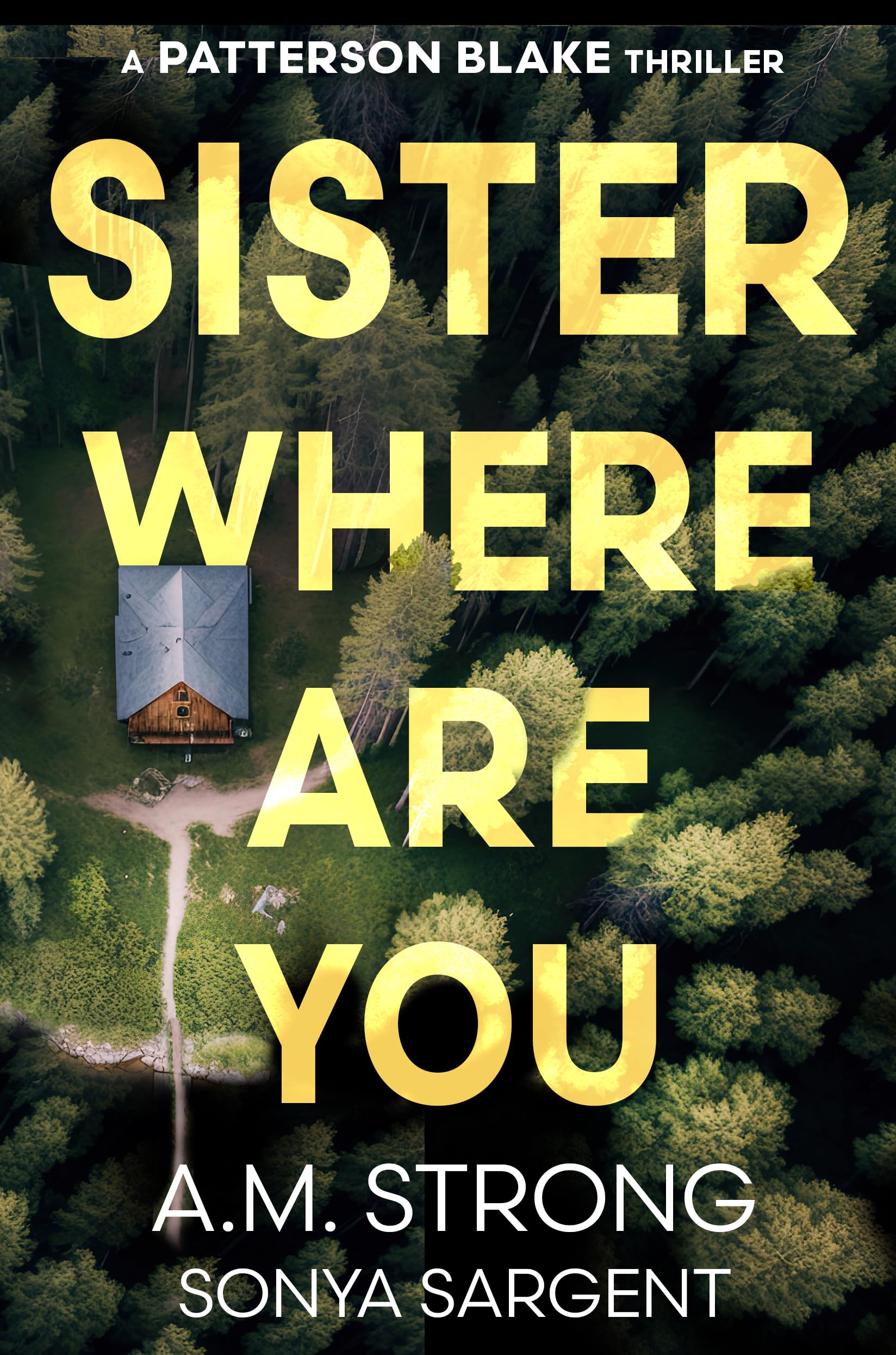 Sister Where Are You (Patterson Blake FBI Mystery Thrillers Book 1)