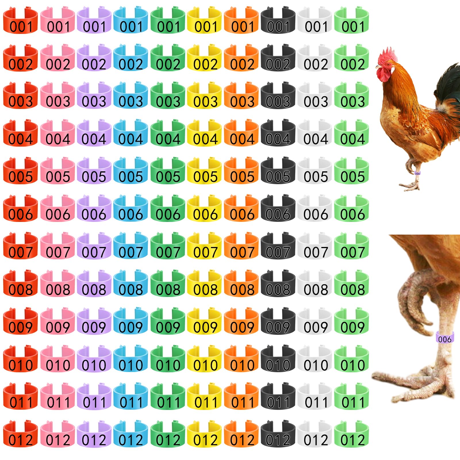 Photo 1 of 120 Pcs Chicken Leg Bands, 10 Color Numbered Chicken Leg Rings Identification Band Chick Tags for Legs Poultry Foot Rings Legs Bands for Poultry Identification, Number Arrangement 1-12 (16mm)
