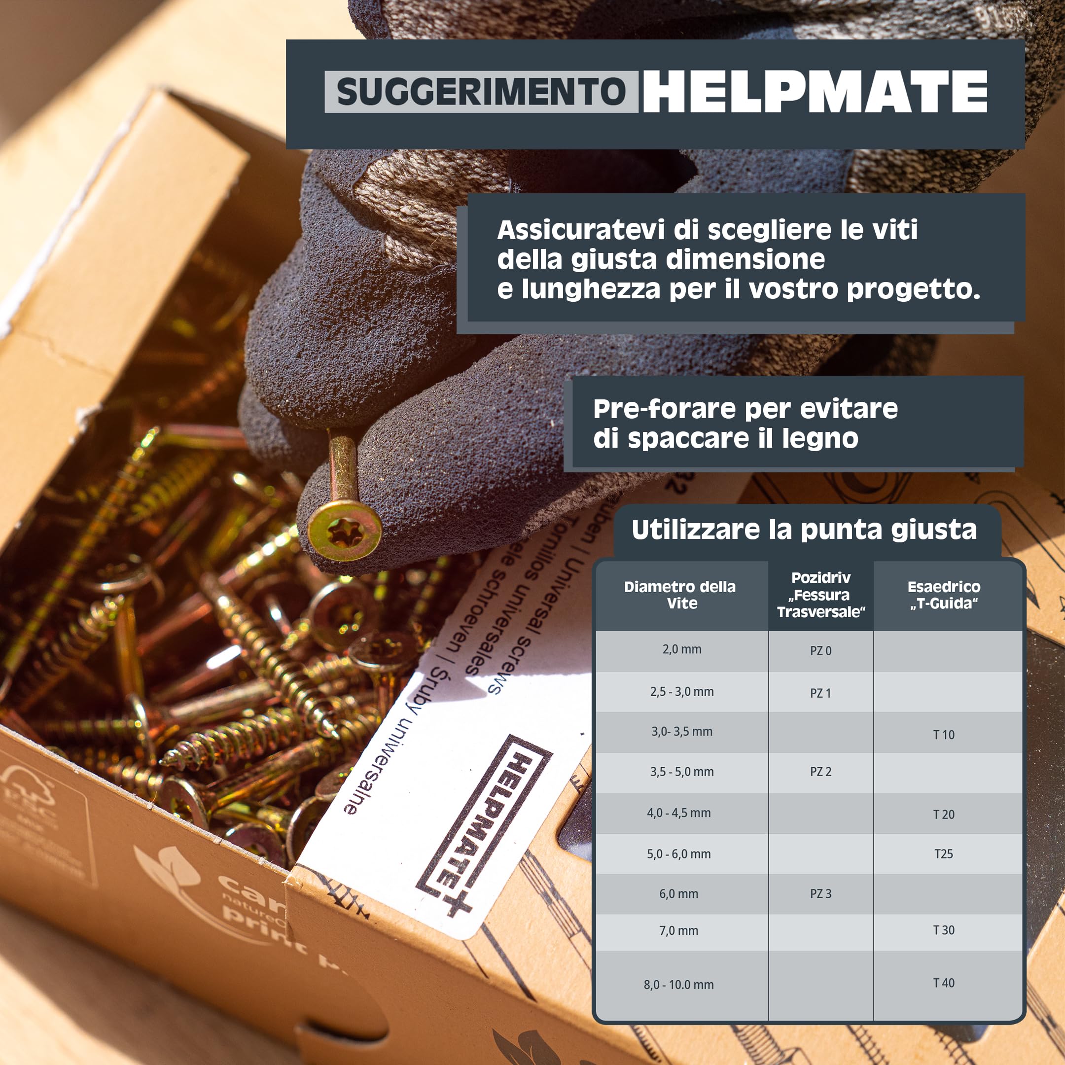 Set Torx – Viti Per Costruzione In Legno – Set Di Viti A Testa - Foto 3