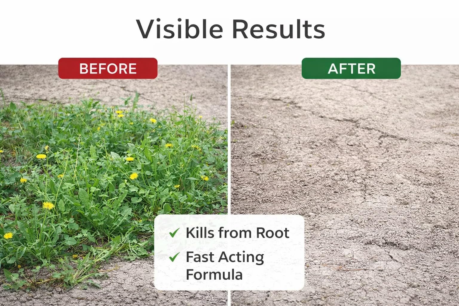 Weed & Root Killer - Fast Weed Removal -2