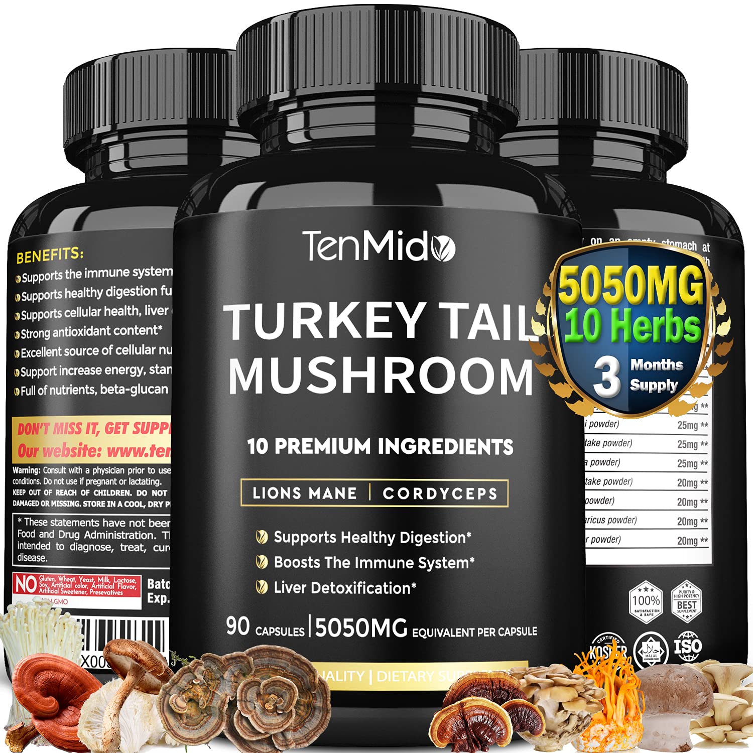 Buy Turkey Tail Mushroom Extract 5050mg & Lions Mane, Cordyceps, Reishi