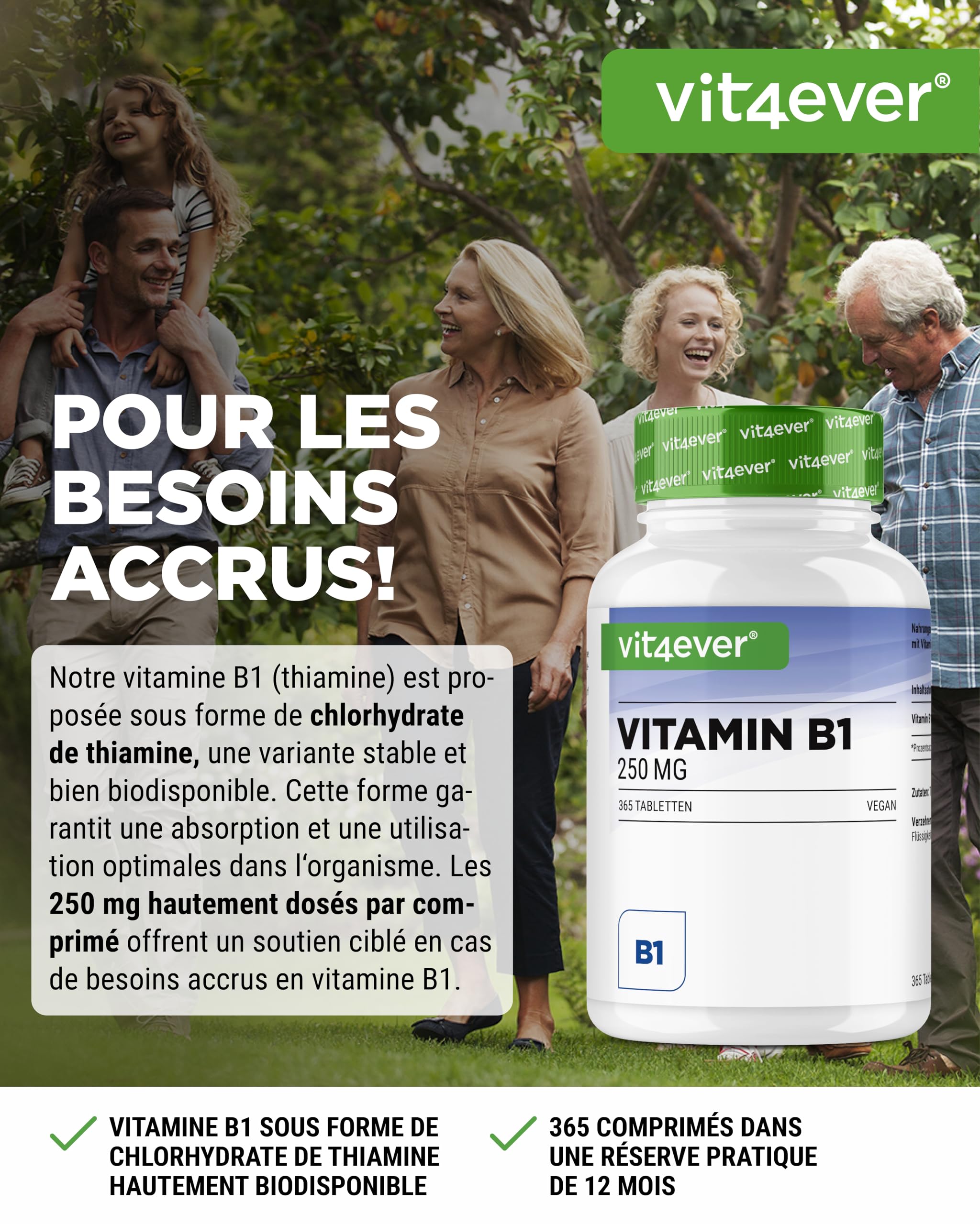 Vitamine B1 (Thiamine) - 250 mg - 365 Comprimés - Premium : Thiamine Hydrochloride - Haute biodisponibilité - Réserve de 12 mois - Sans additif indésirable - Vegan