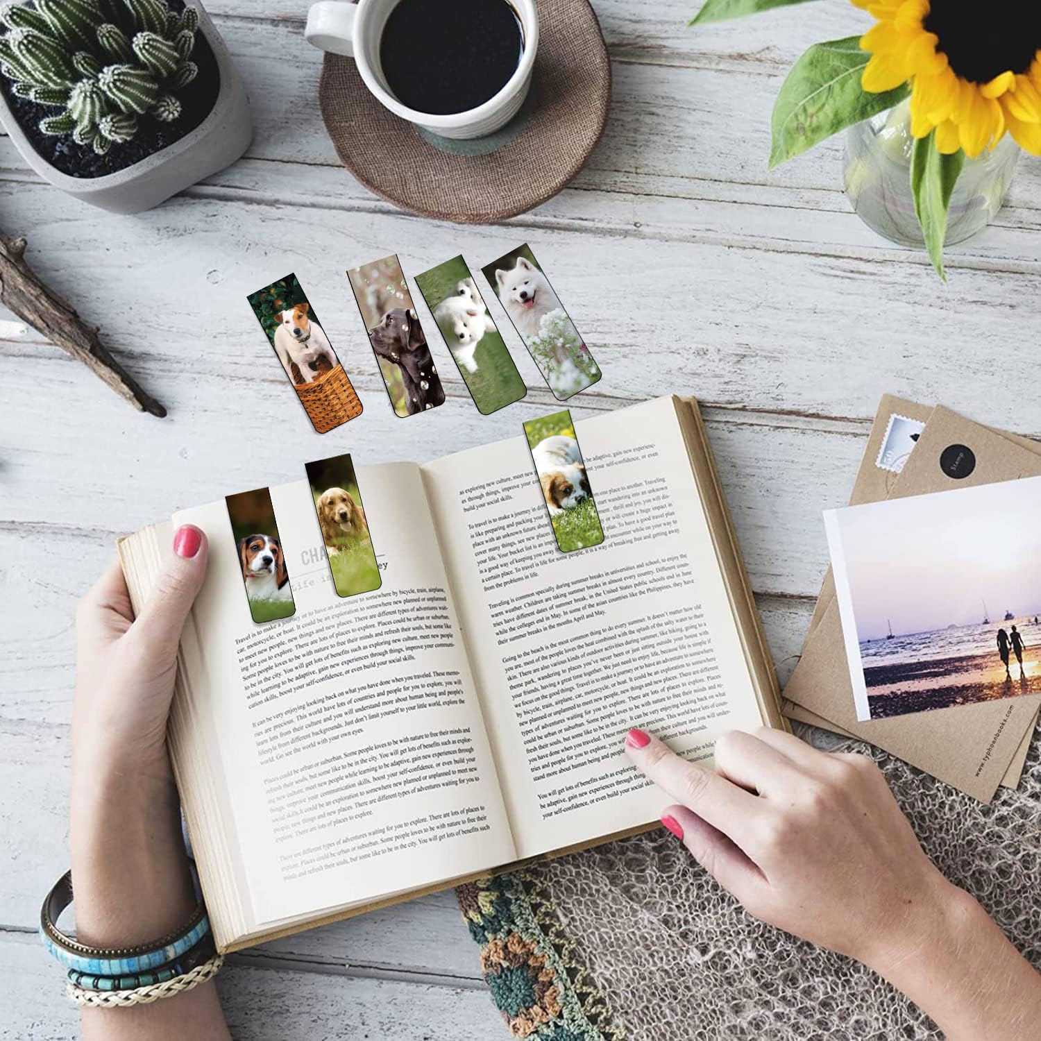 Goedkope Boekenleggers kopen? ✔️ Tot 67% korting