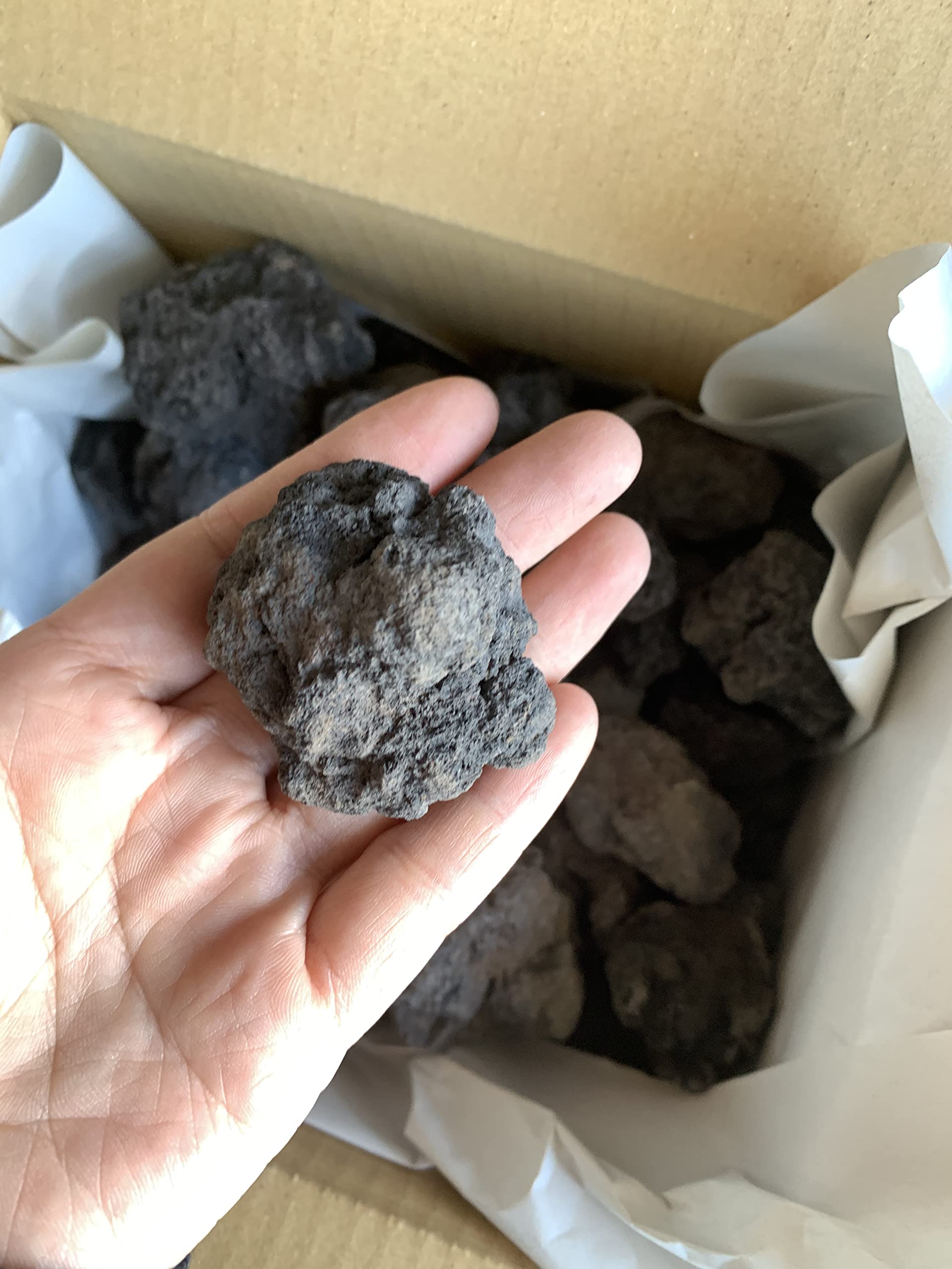 Amazon | 溶岩石 砂利 20-50㎜ 2キロ 黒 水槽 レイアウト テラリウム 