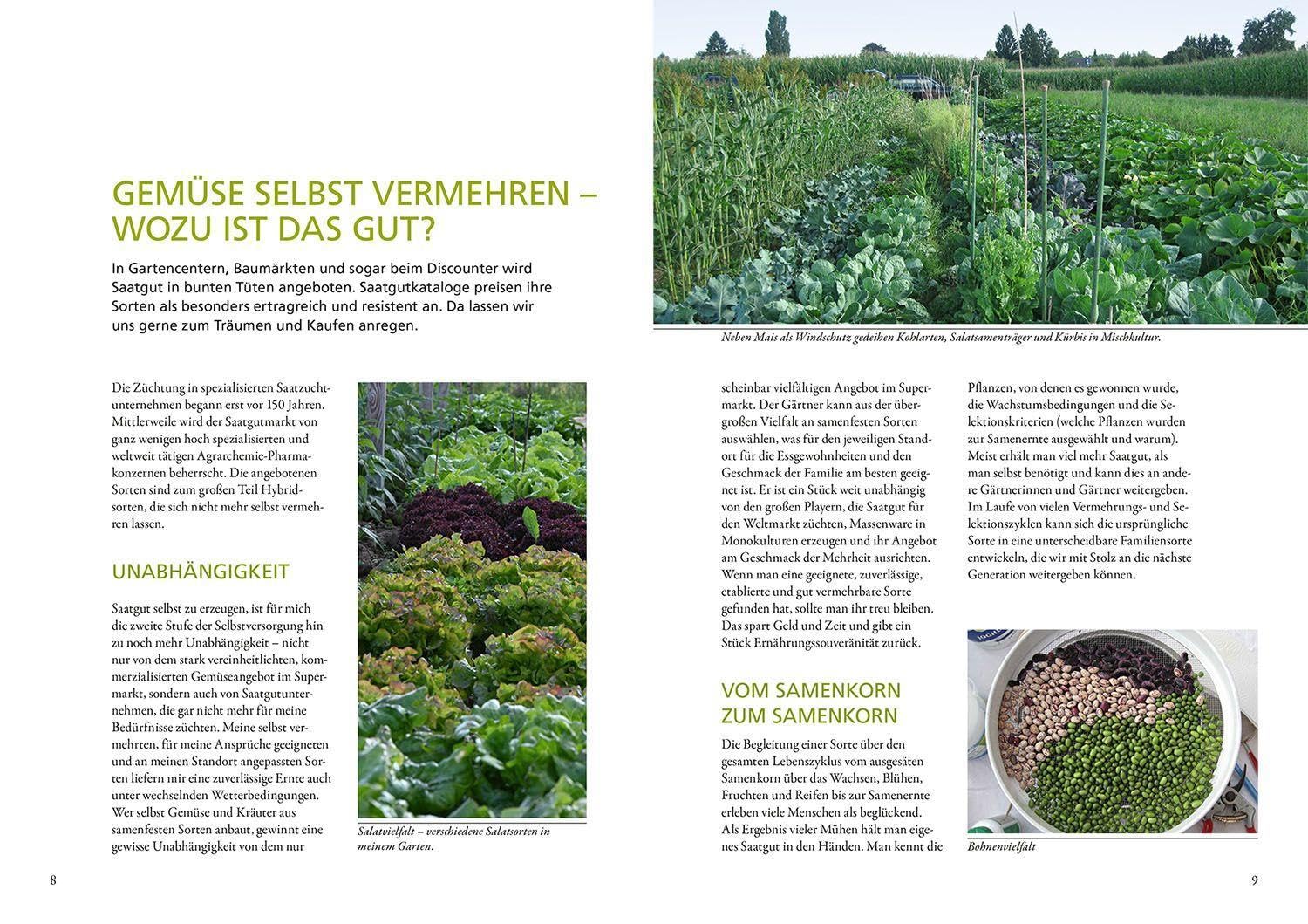Meine Samen-Gärtnerei: Gemüse-Saatgut selbst gewinnen. Vielfalt ernten und bewahren