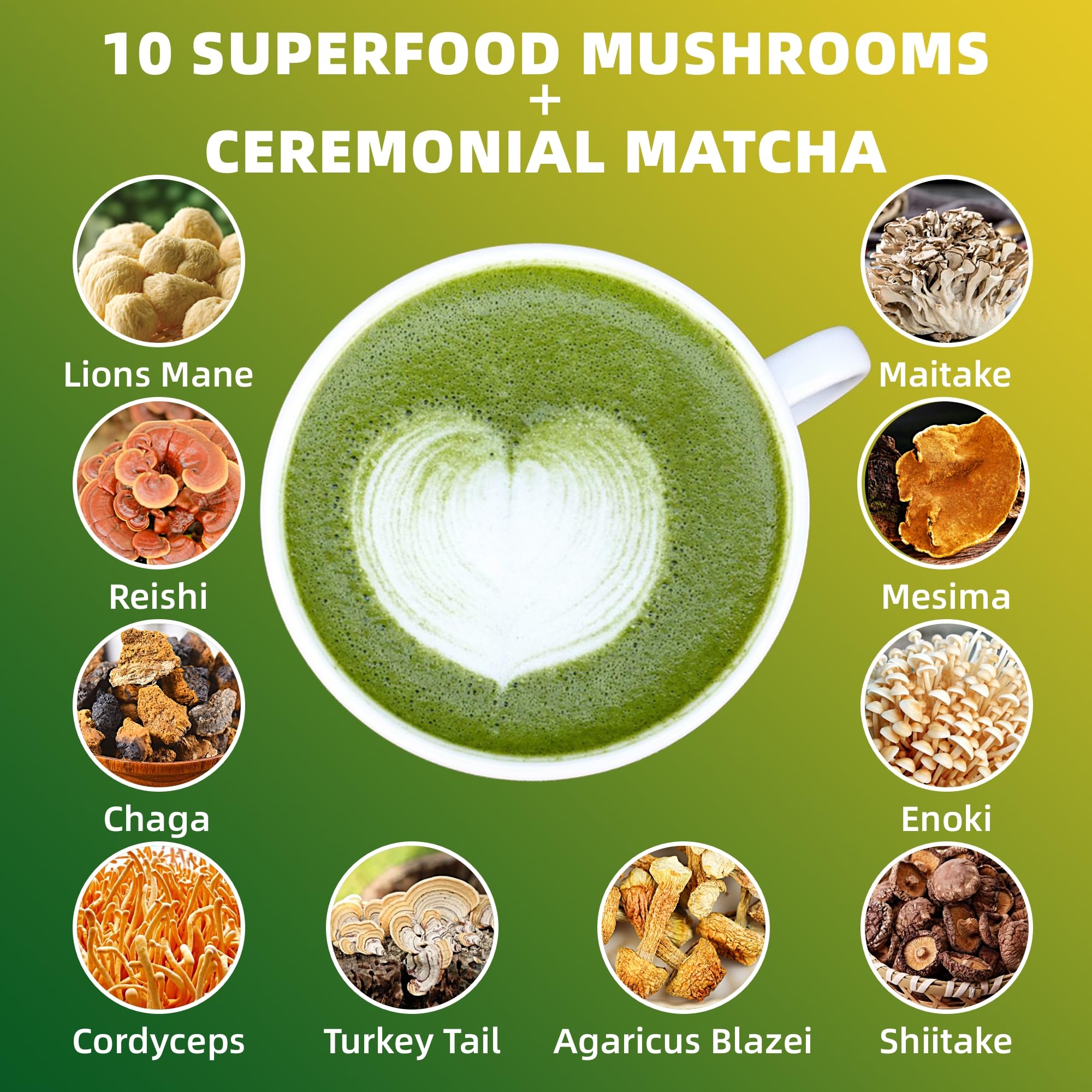 Mushroom Matcha 10 Superfood Mushroom Powder Blend with Japanese Ceremonial Grade Matcha Mushroom Coffee Alternative for Energy Focus — view 3