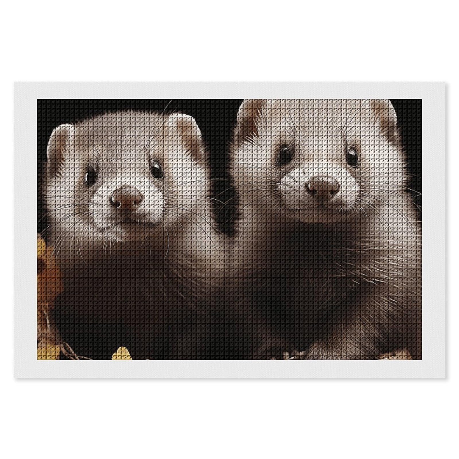 NONHAI Diamond Painting Kits for Adults - DIY Diamond Art Kits for Beginners - Full 5D Paint Drill Diamond Dots Paintings- Ferrets Diamonds Pictures Gem Art and Craft Wall Decor 8"x12"