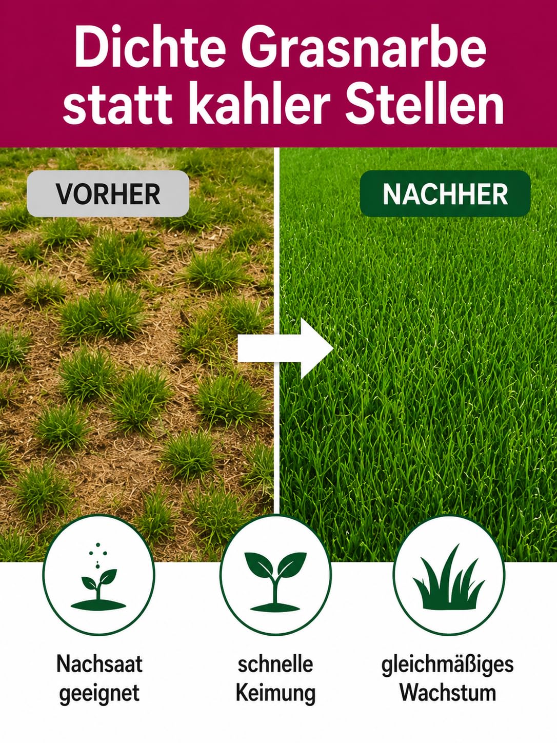 Sport- und Spielrasen Rasensamen 10 kg für ca. 250 m² – für Nachsaat & Neuansaat, schnellkeimender Spielrasen zur Rasenreparatur, strapazierfähiger und schnellkeimender Gartenrasen
