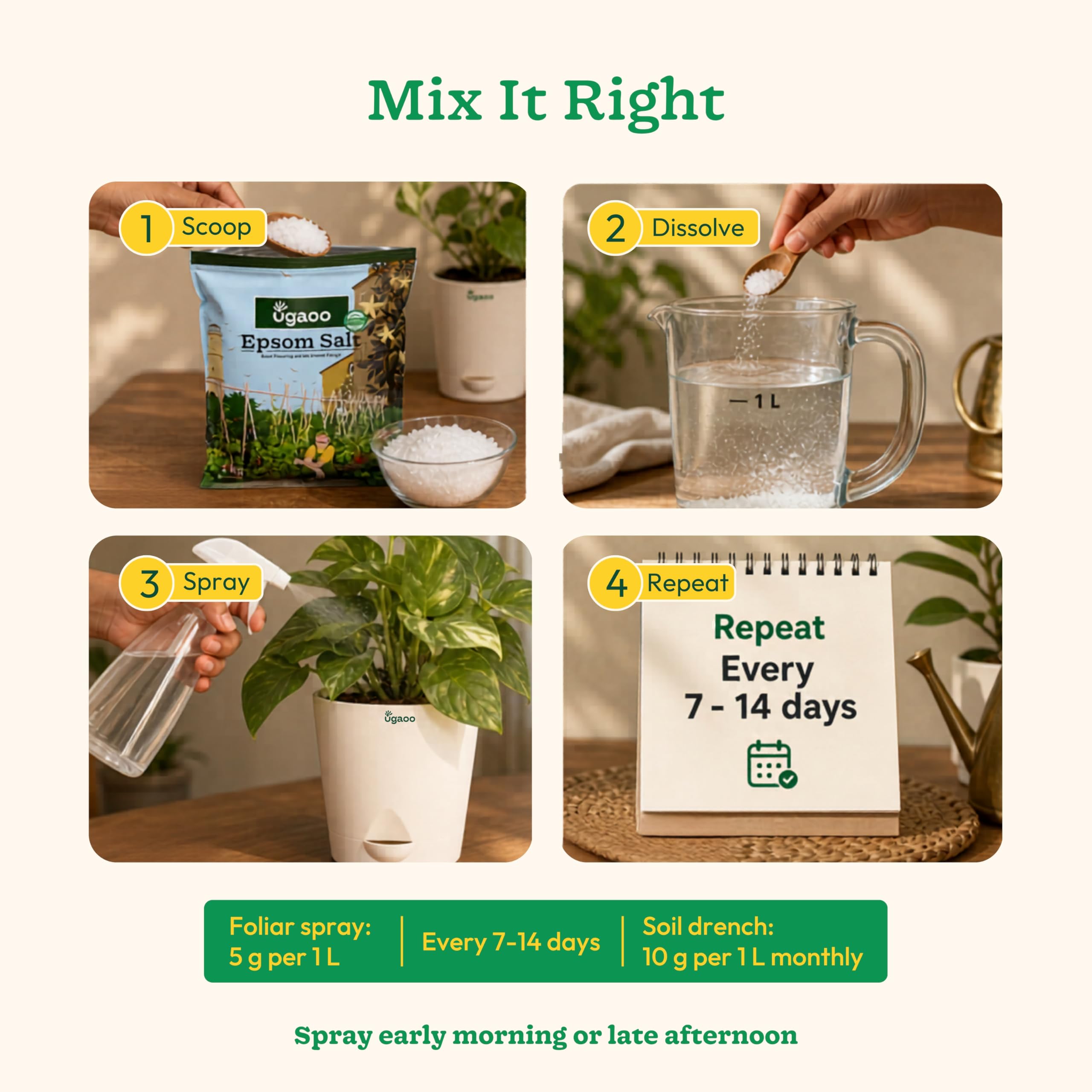 Ugaoo Epsom Salt for Plants 1 Kg | Magnesium Sulphate Fertilizer for Indoor & Outdoor Plants | Improves Soil Nutrient Absorption, Growth Booster for Home Garden, Potting Soil Mix & Gardening Soil 2