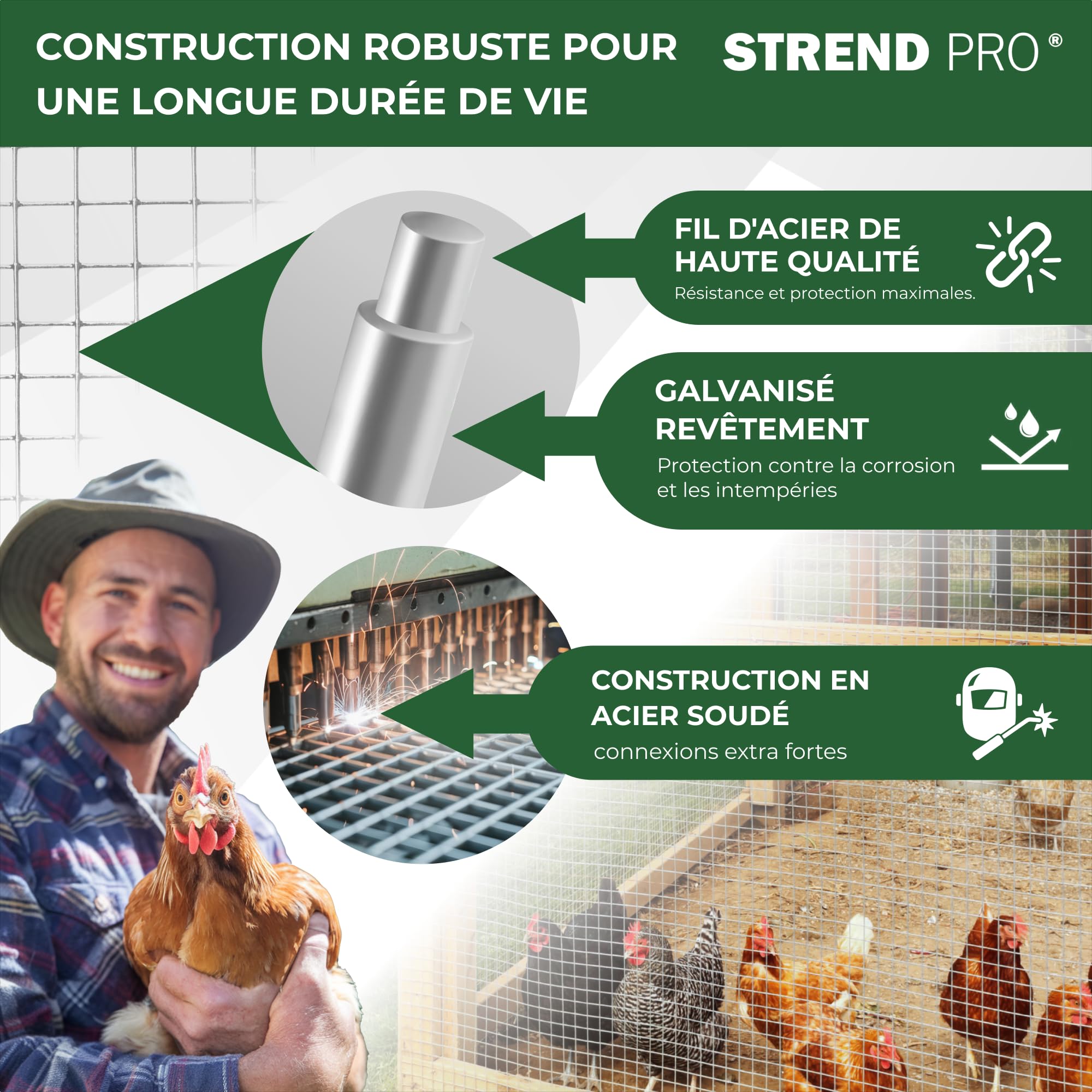 STREND PRO Grillage Métallique | Soudé - Galvanisé | 0.5 m x 10 m | 0,8 mm, 10x 10 mm | Grillage Anti-Campagnols, Lapins, Lièvres, Volières | Grillage Lapins, Poulailler