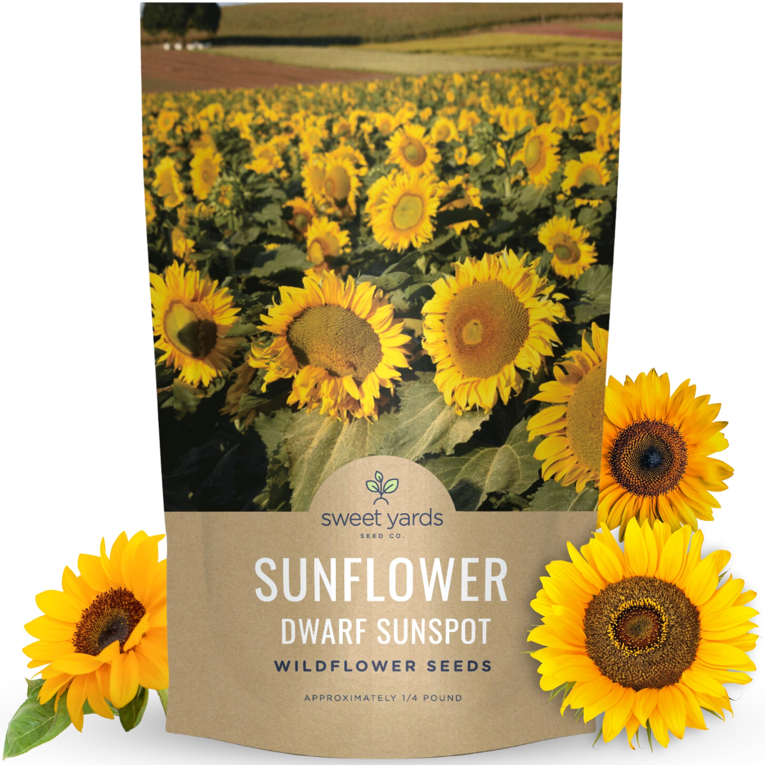 Dwarf Sunspot Sunflower Bulk Pouch