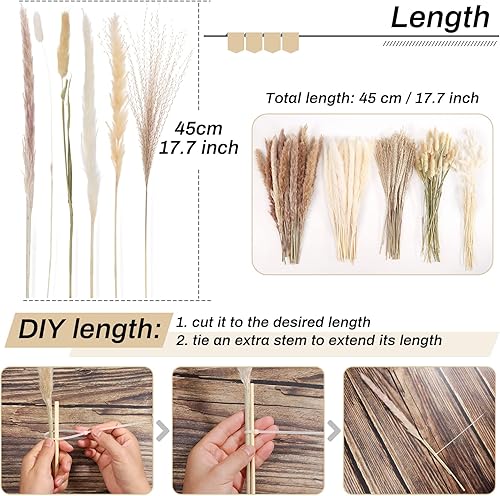 Miniatura 4 de 110 piezas de hierba seca de las pampas decoración bohemia, plantas secas naturales y blancas, ramo de hierba pomposa con colas de conejo, flores