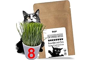 FIEND Cat Grass Seeds: The Ultimate Wheatgrass Seed for Your Feline Friend