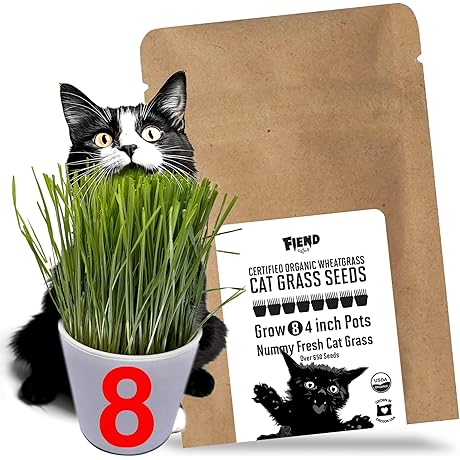 FIEND Cat Grass Seeds: The Ultimate Wheatgrass Seed for Your Feline Friend