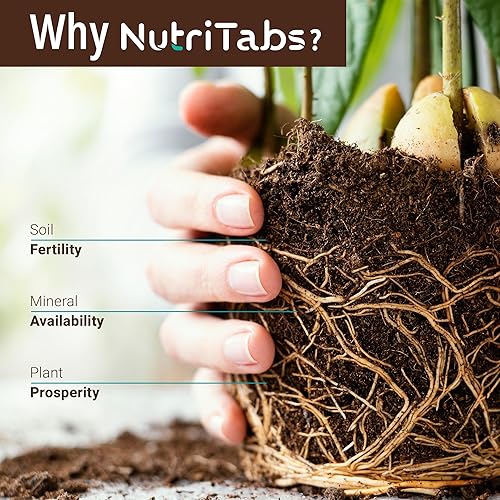 Miniatura 9 de Alimento vegetal para plantas de interior  3 paquetes de tabletas minerales rosas "Start Boosting" fertilizante rico en nitrógeno alimento vegetal