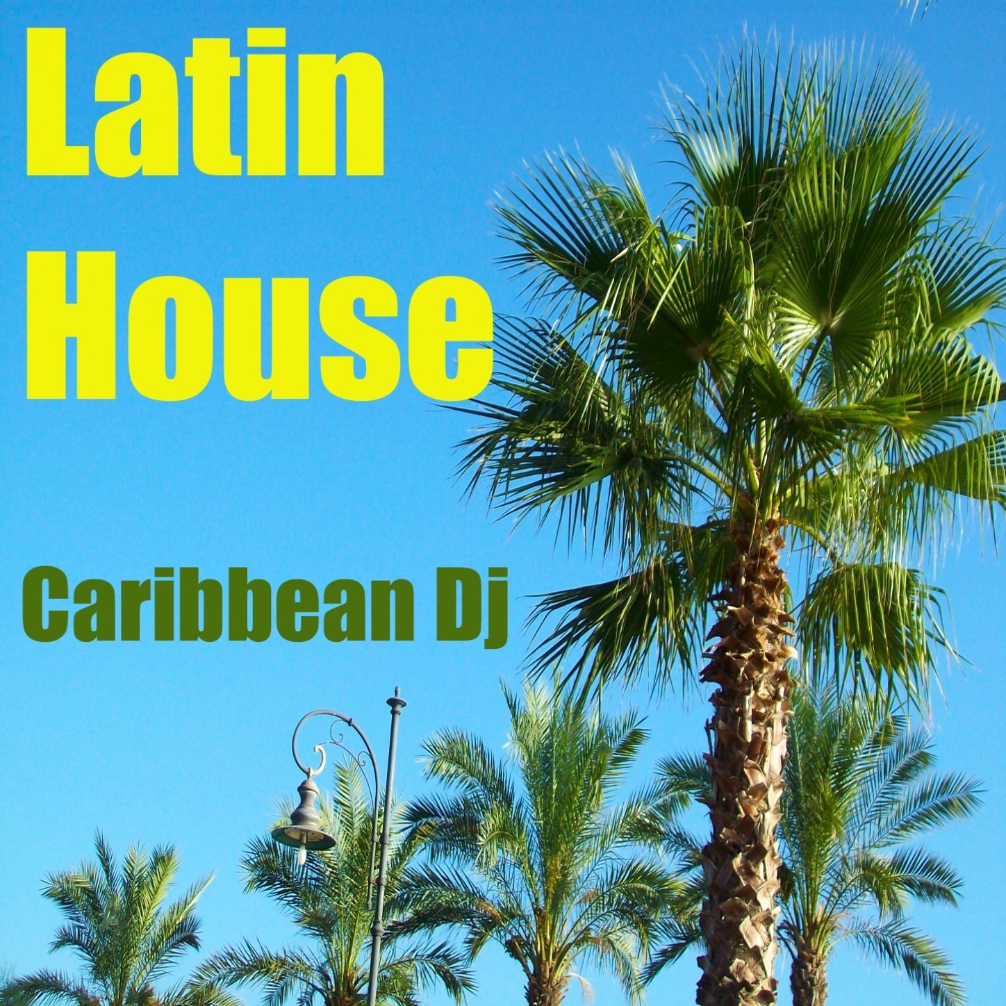 Caribbean DJ